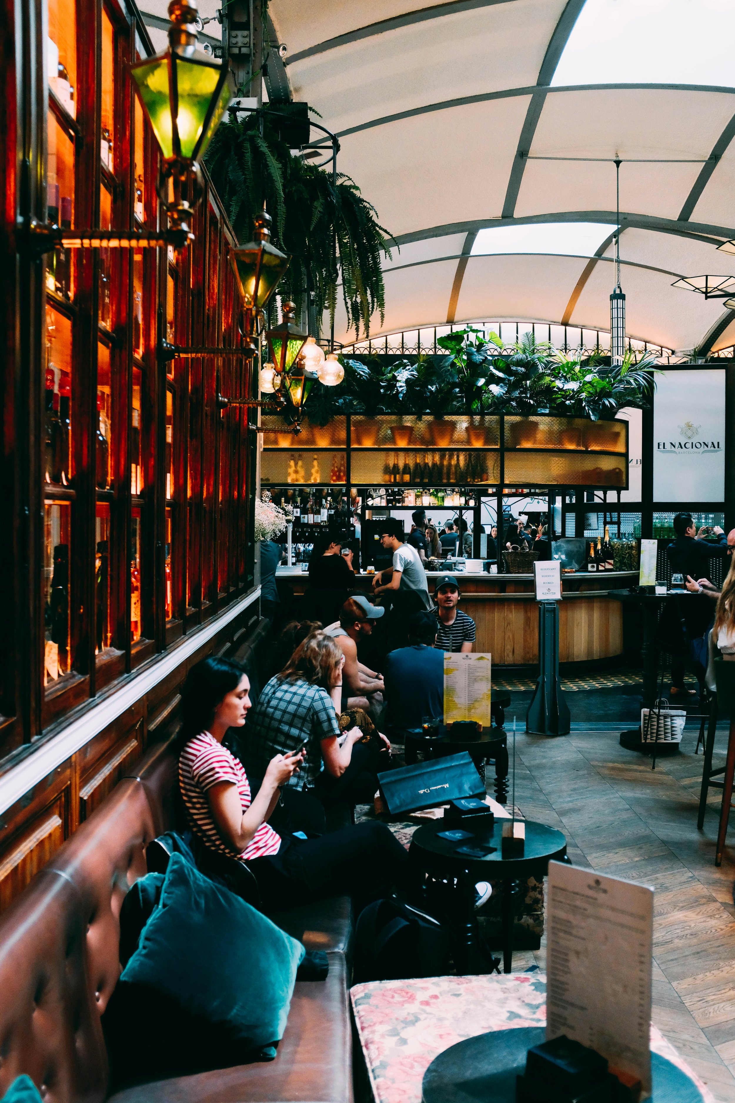 Indoor scene at a restaurant or bar with people sitting and socializing, a bar counter with staff serving drinks, lush green plants hanging from above, decorative lamps, and a cozy, stylish atmosphere.