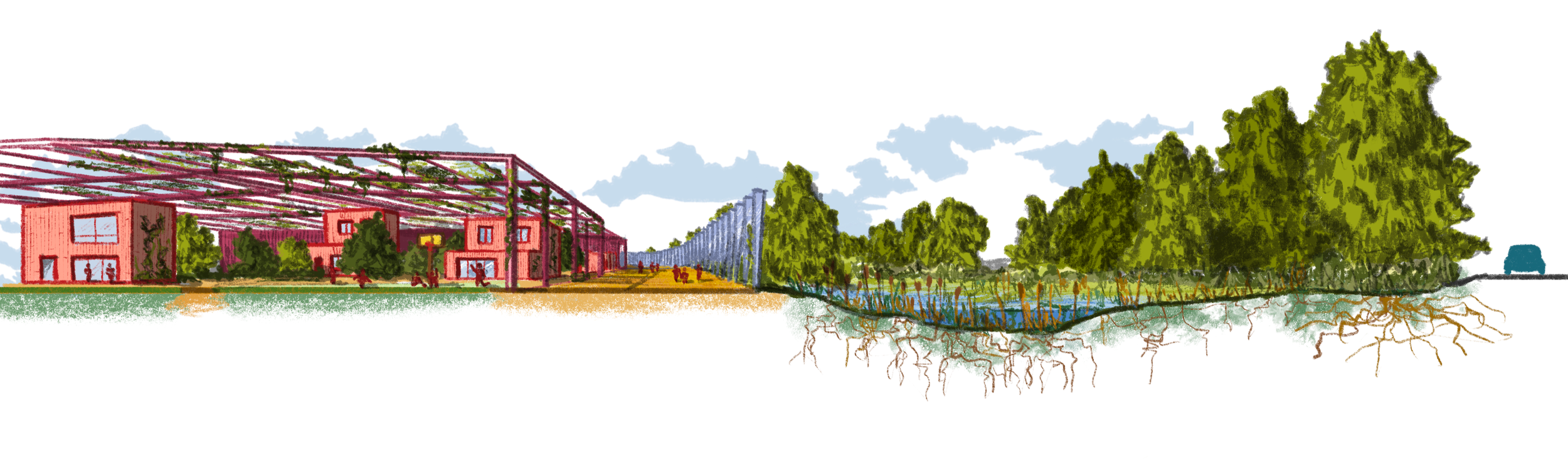 IMG_9036.png