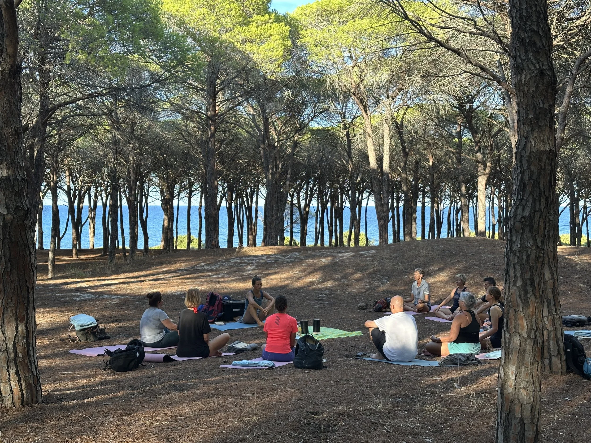 A group of people practicing yoga outdoors in a forest with a view of the ocean in the background.