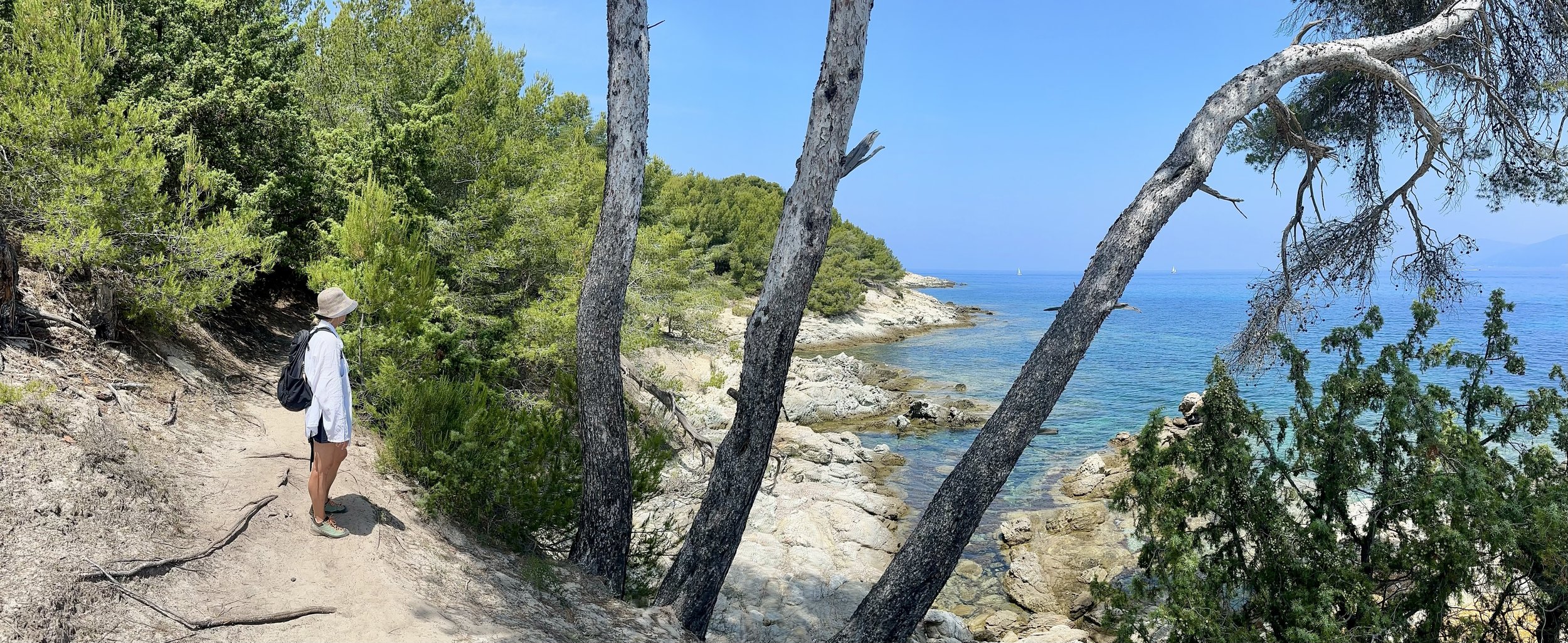 Person hiking along a rocky coastal trail surrounded by green trees, looking out at the blue sea with sailboats in the distance