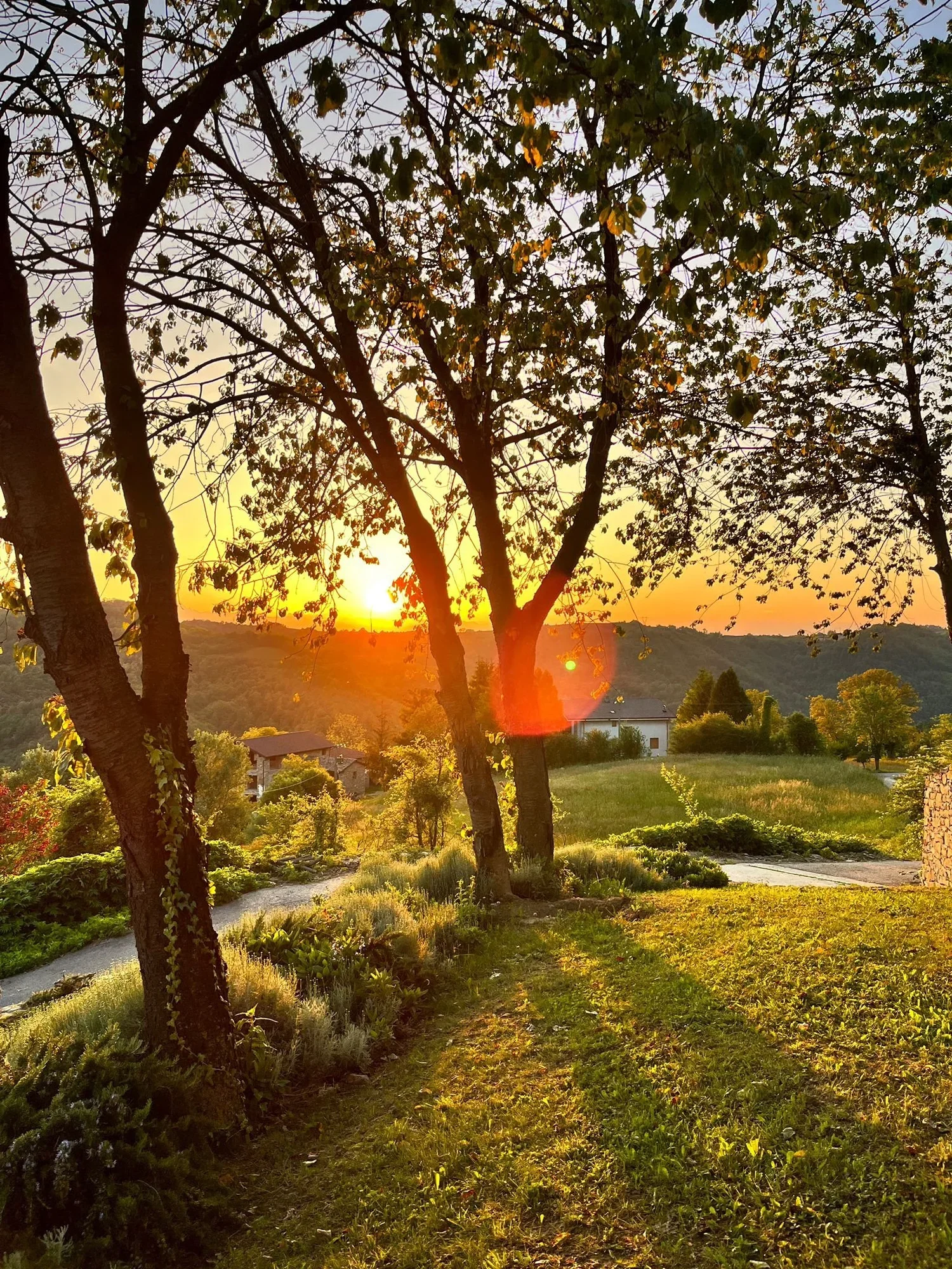 A scenic view of a sunset over a countryside with a grassy pathway, trees, and houses in the distance.