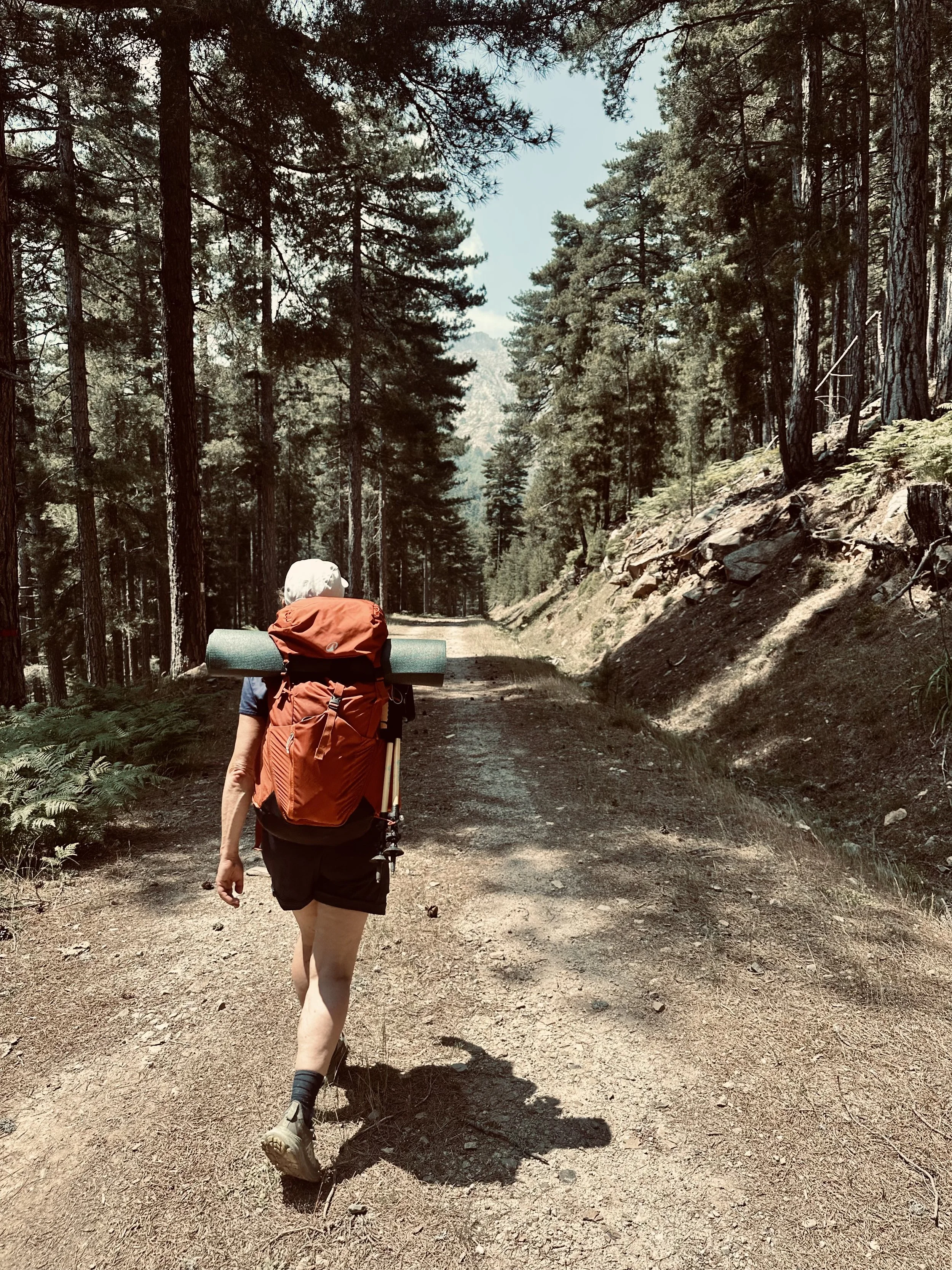 A person hiking on a dirt trail in a dense forest, carrying a large backpack with a sleeping mat attached, surrounded by tall trees and natural landscape.