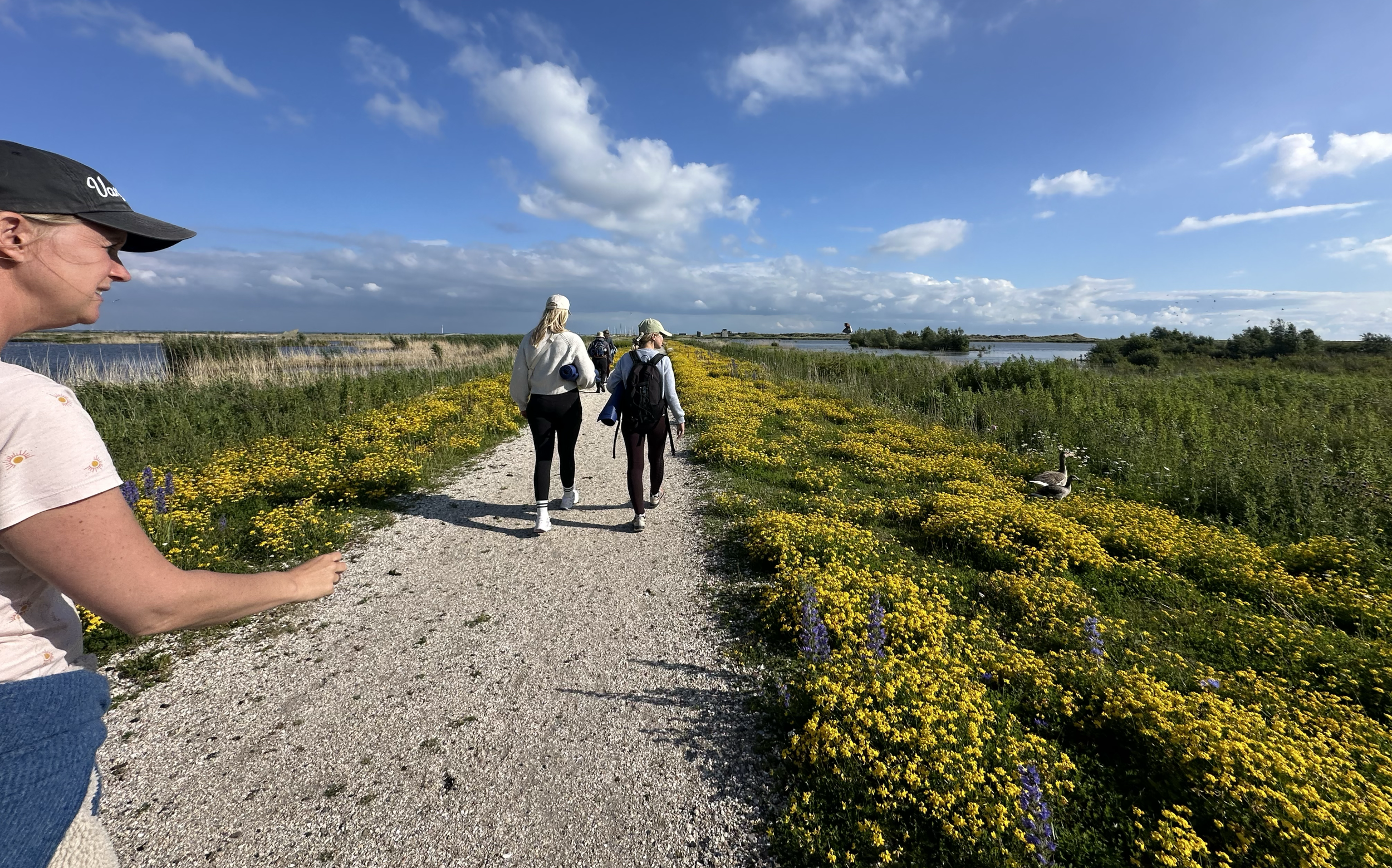A group of five women walking along a gravel trail through a lush, green landscape with yellow flowers on either side, beside a body of water under a partly cloudy sky.