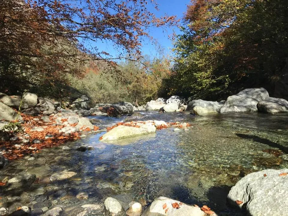 A clear river flowing over rocks with fall leaves on the ground and trees with changing autumn foliage on both sides.
