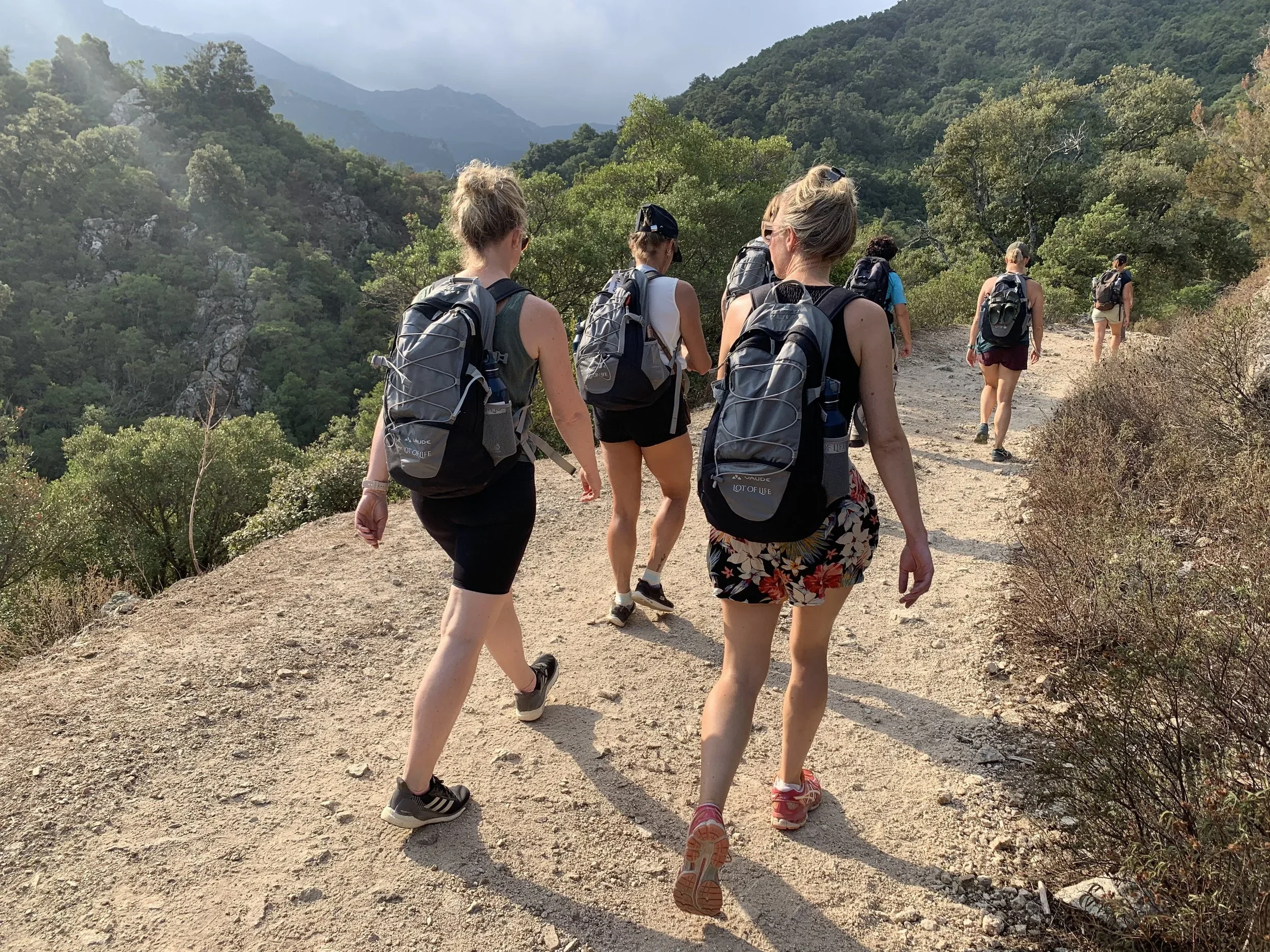 Group of people hiking on a trail surrounded by green trees and mountains in the background.