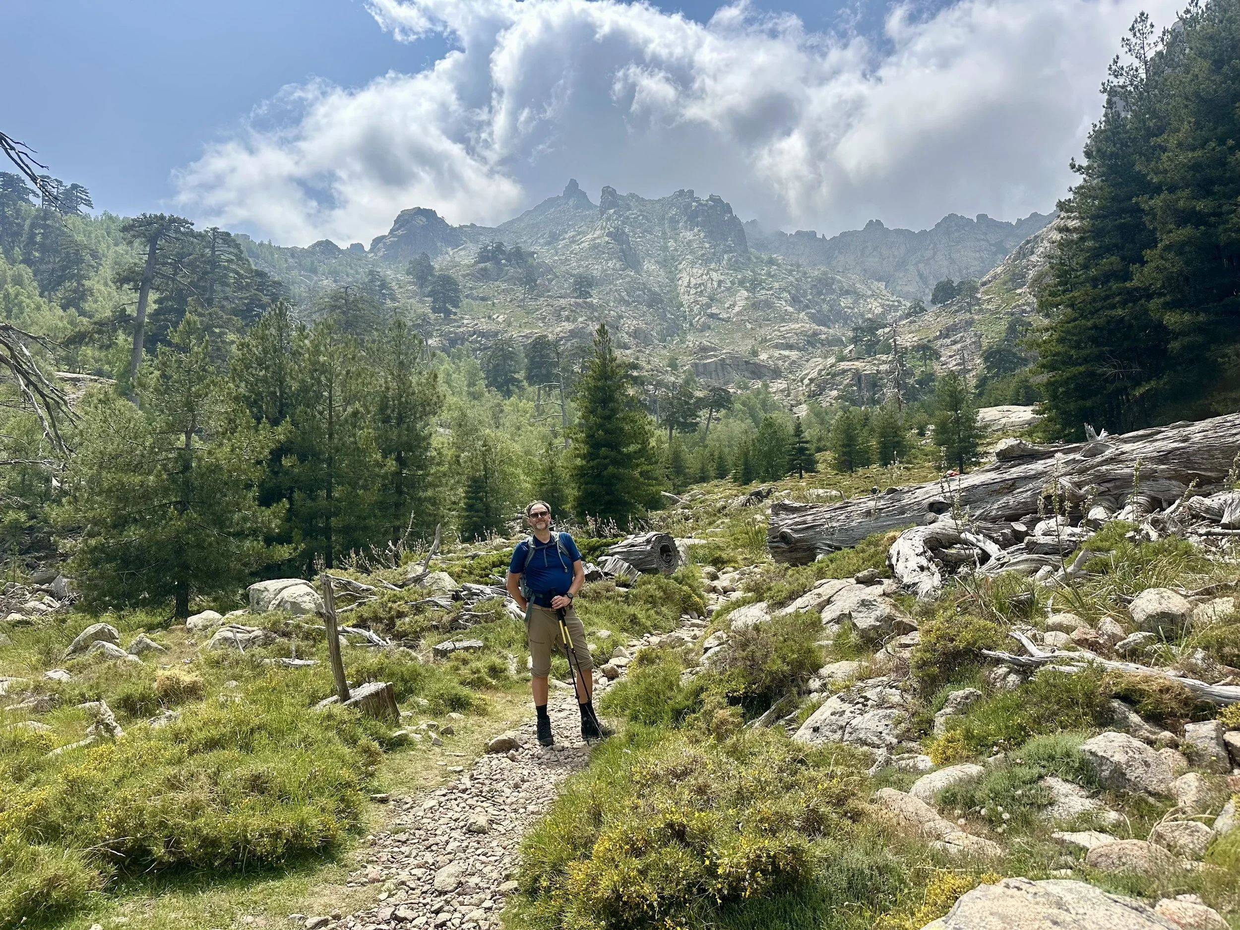 A man with a blue backpack and hiking stick hiking on a rocky trail through a forested mountain area with green trees and mountain peaks in the background.