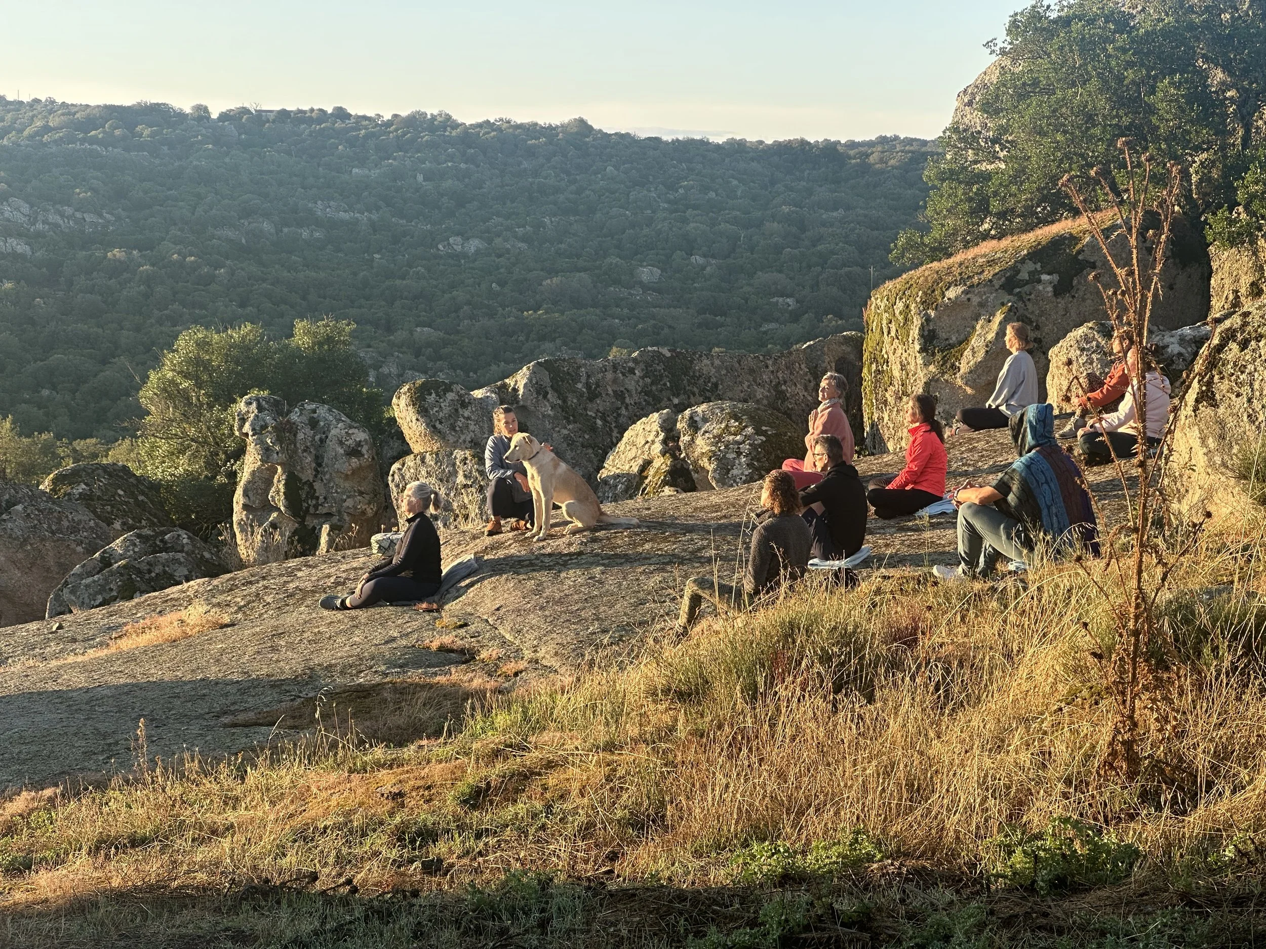 A group of people sitting on rocks and grass during sunset in a mountainous area, with a woman with a dog near her.