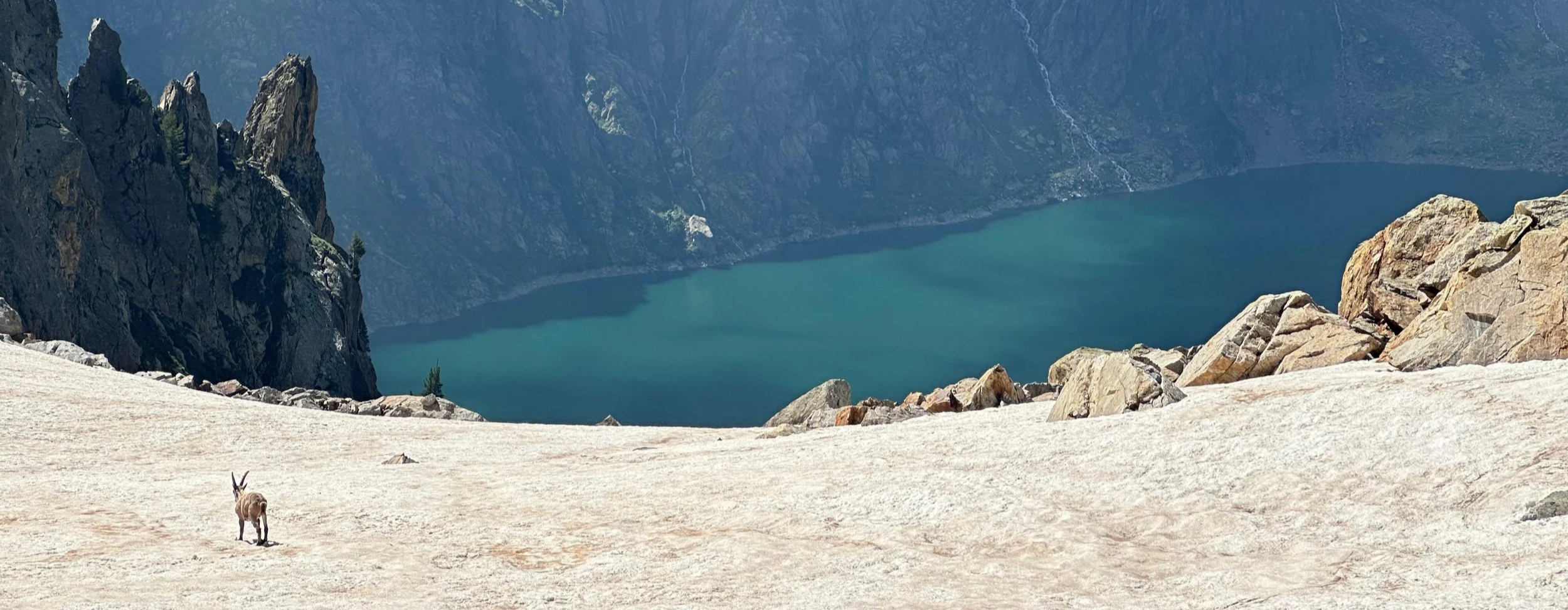 A mountain landscape with a lake, large rocks, and a mountain goat standing on a sandy or snow-covered slope.