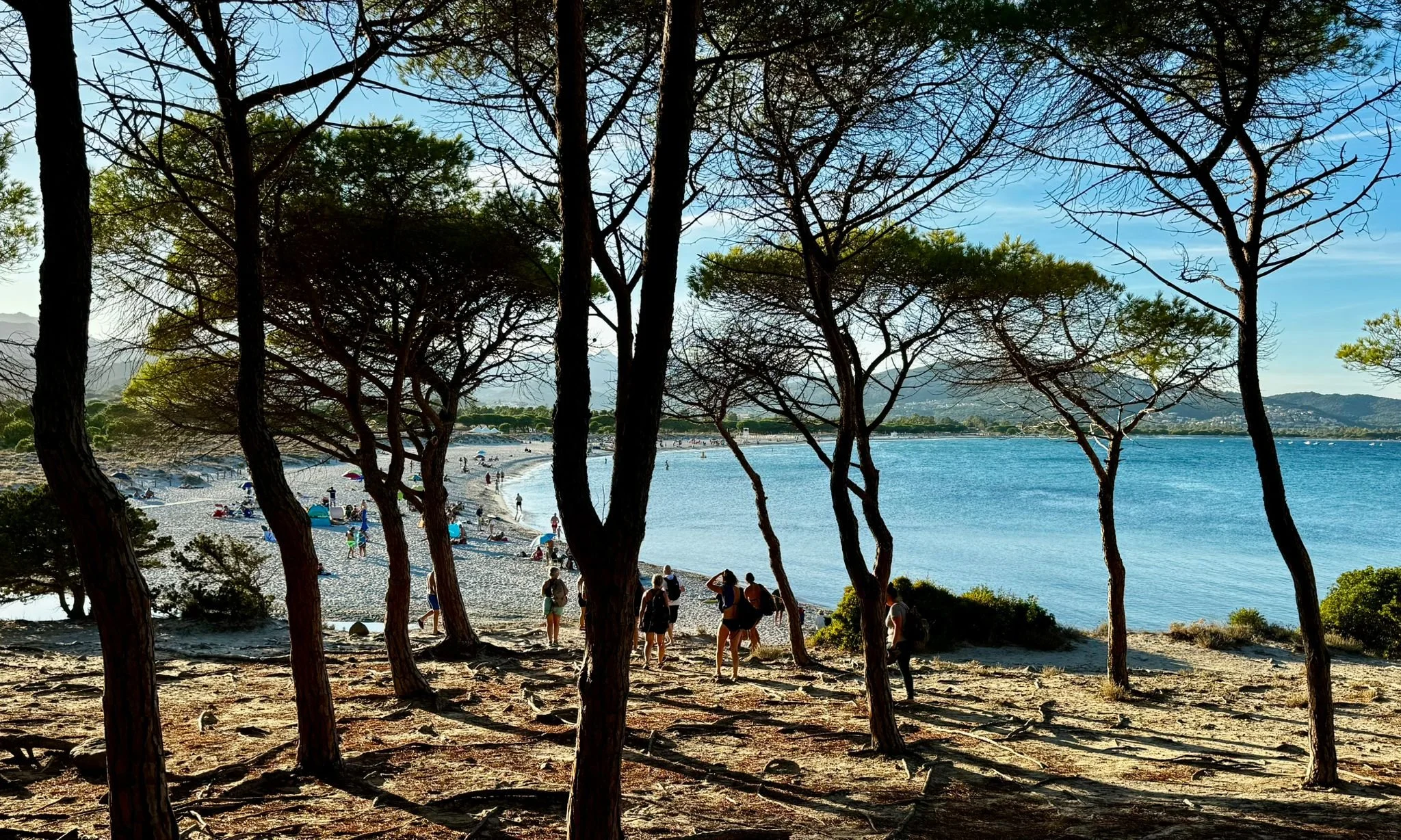 A beach viewed through trees, with people walking along the shoreline and relaxing under umbrellas. Mountains are visible in the distance, and the sky is blue with some clouds.
