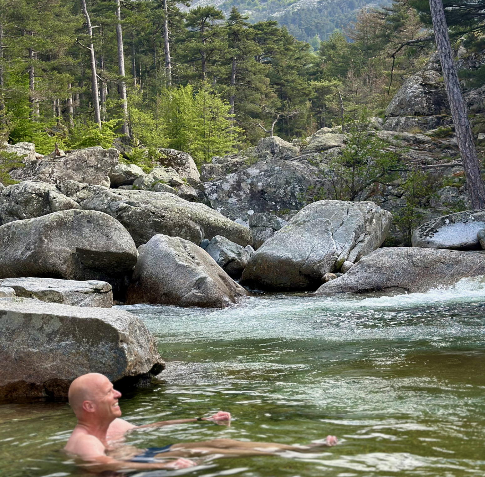 A man enjoying a natural hot spring with large rocks and pine trees surrounding a forested area.