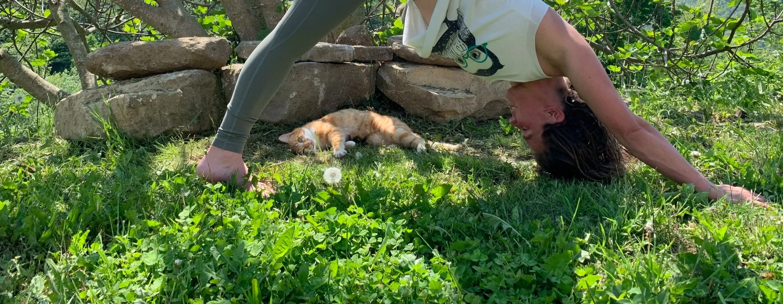 A woman doing a yoga pose outdoors on grass with a cat lying beside her, surrounded by green foliage and trees.