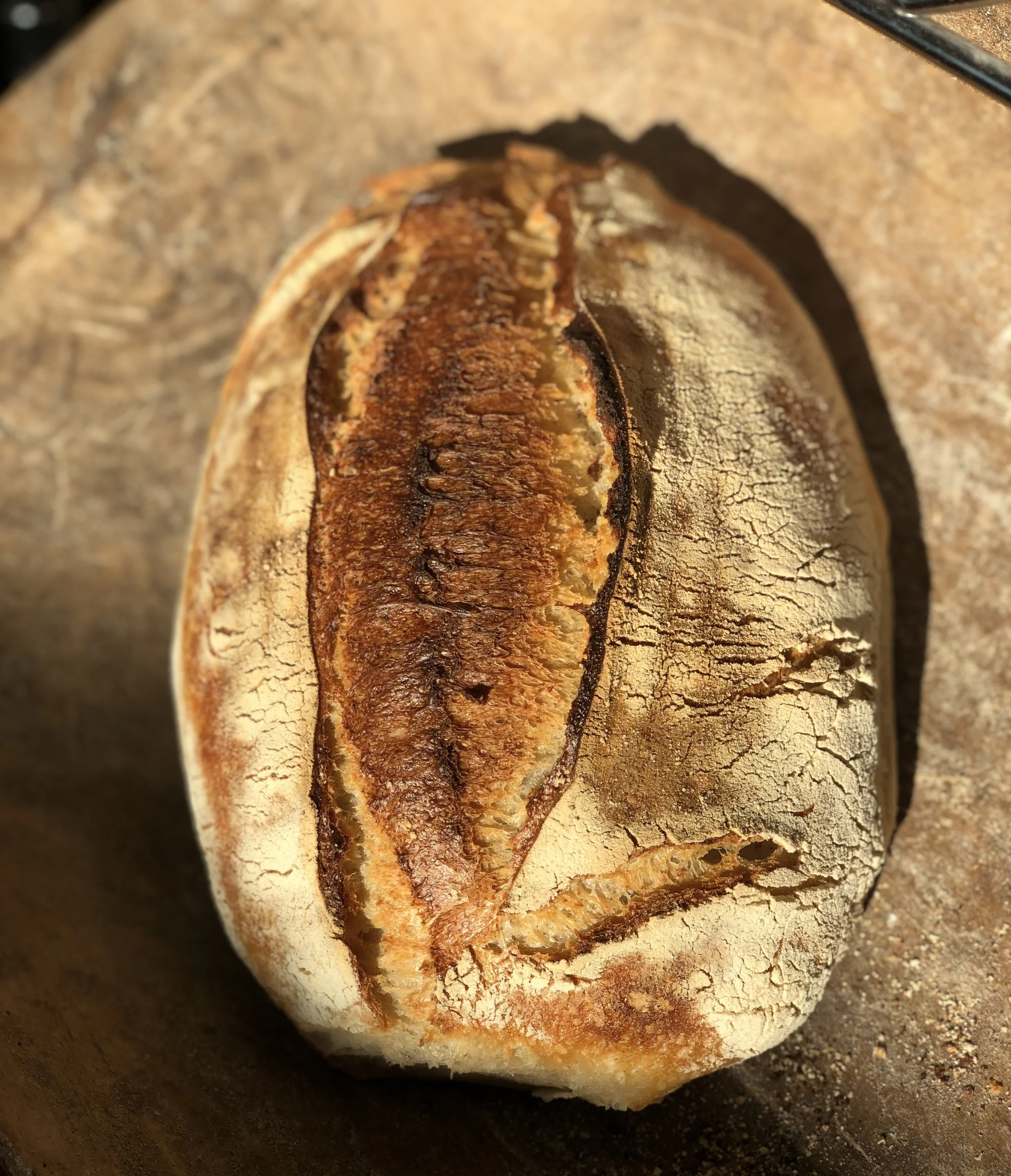 Levain.jpg