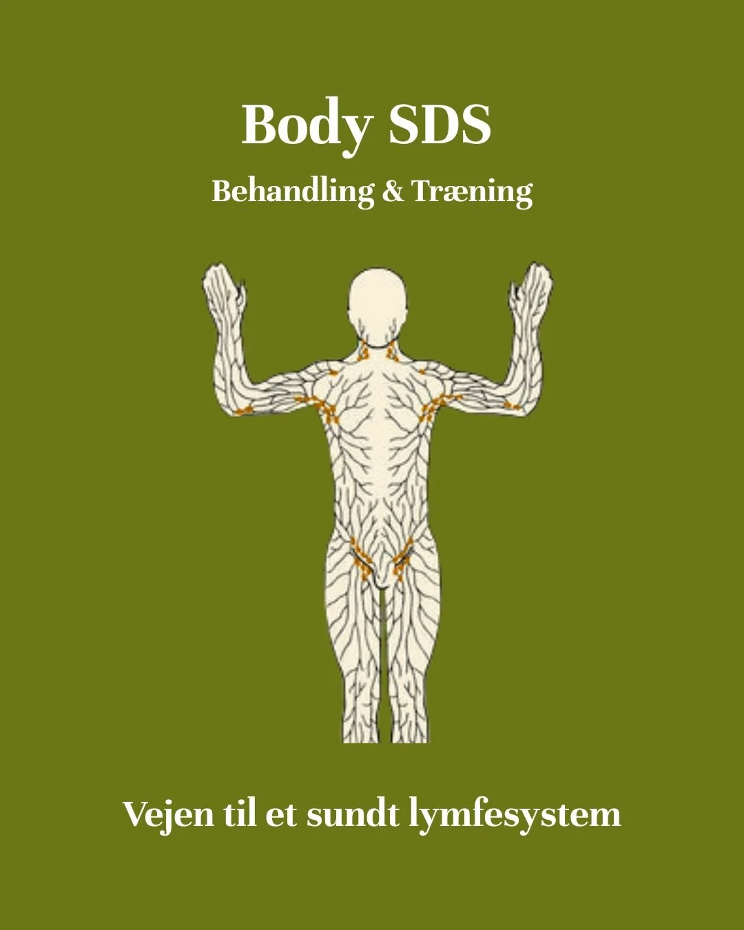 Kroppen er skabt til at rense sig selv &ndash; men det kr&aelig;ver, at dit lymfesystem er aktivt 💧⚡️

B&aring;de Body SDS Kropsterapi og Body SDS Tr&aelig;ning arbejder s&aelig;rligt med at aktivere kroppens lymfesystem og s&aelig;tter gang i kropp