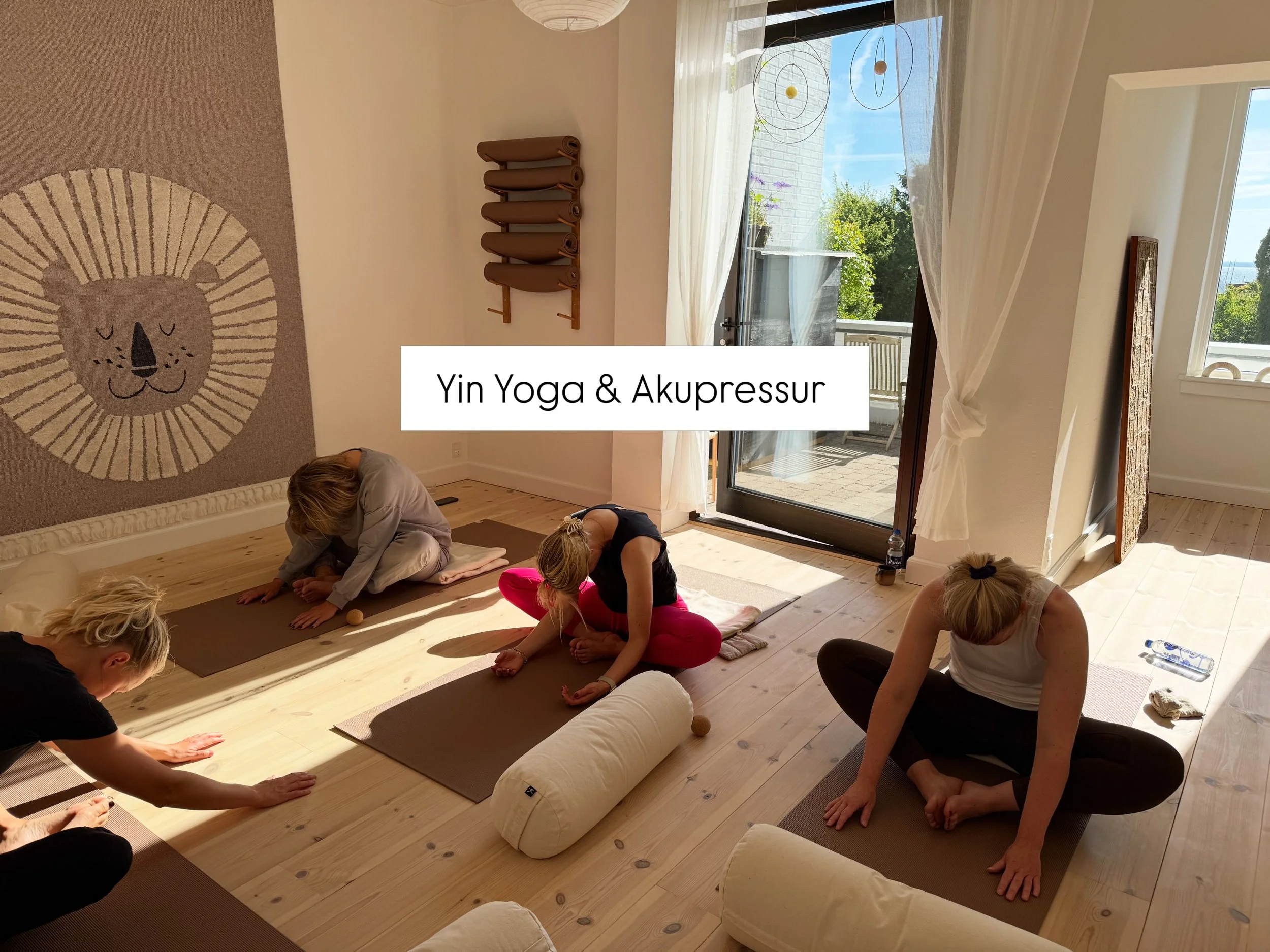 💛 Yin Yoga &amp; Akupressur hos NorRo 💛

Giv dig selv et pusterum i hverdagen og find ro i b&aring;de krop og sind. P&aring; holdet kombinerer vi yin yogaens blide, langsomme, dybe str&aelig;k med akupressur og selvmassage ved hj&aelig;lp af bolde,