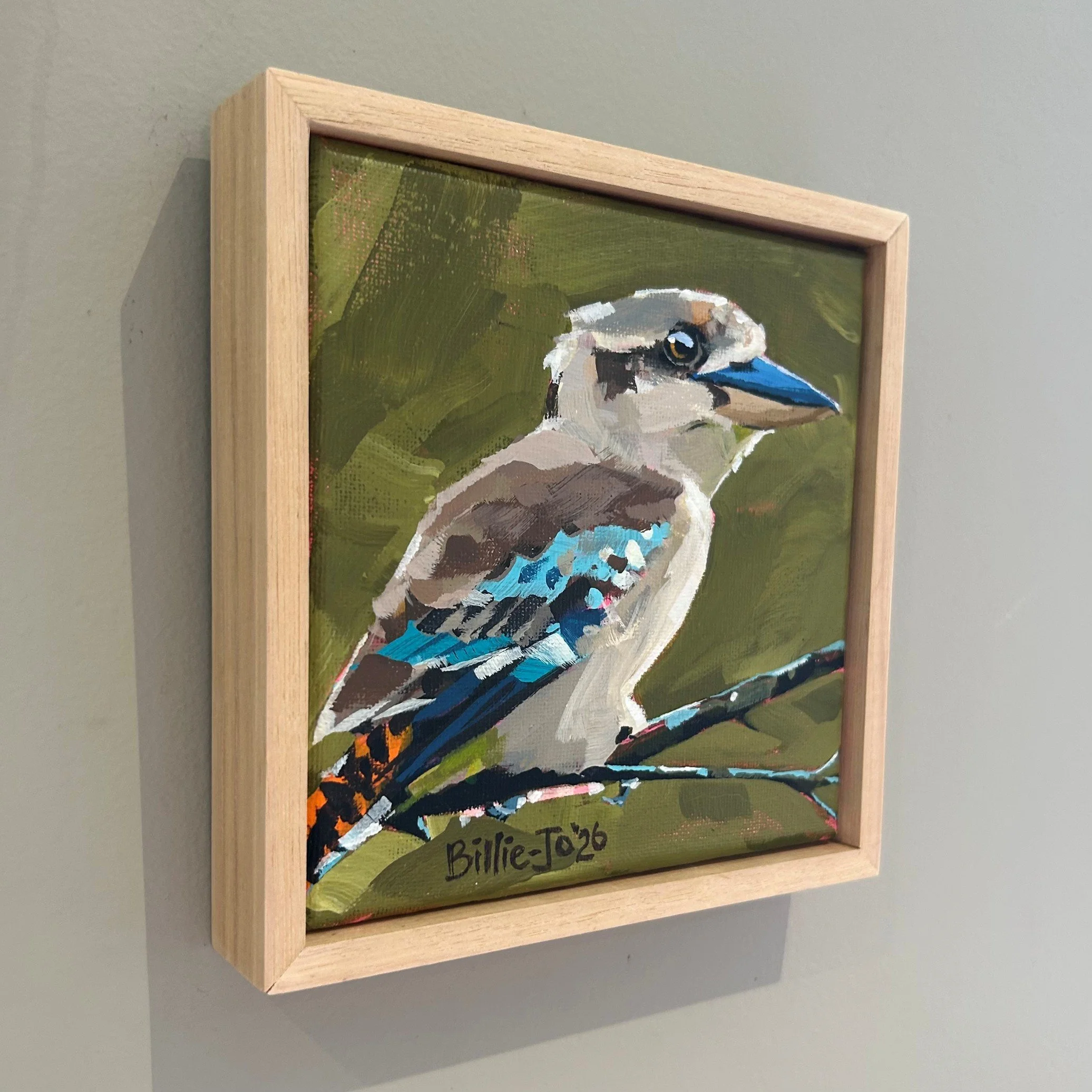 Blue-winged kookaburra