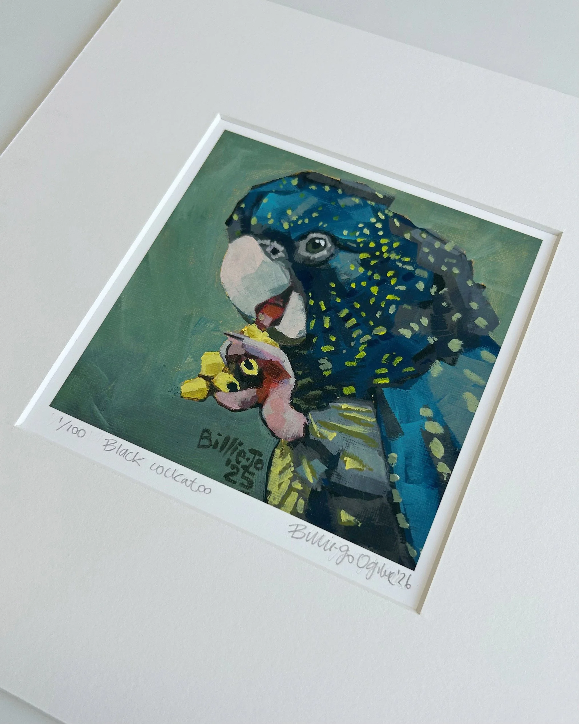 Black cockatoo 3.jpg