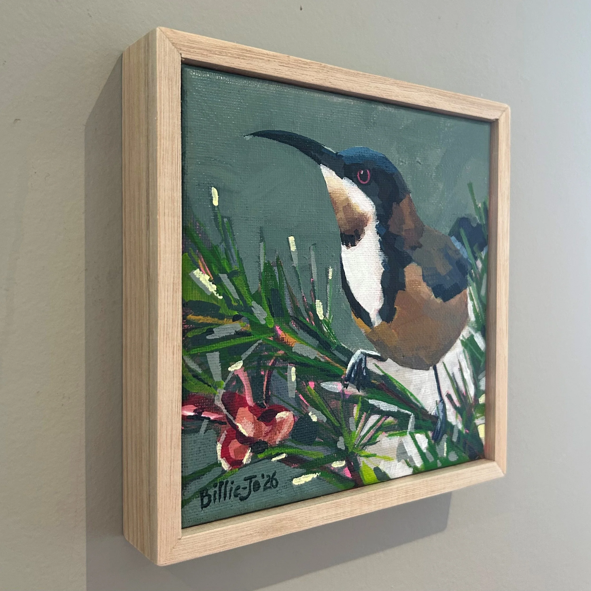 Eastern Spinebill 2.jpg