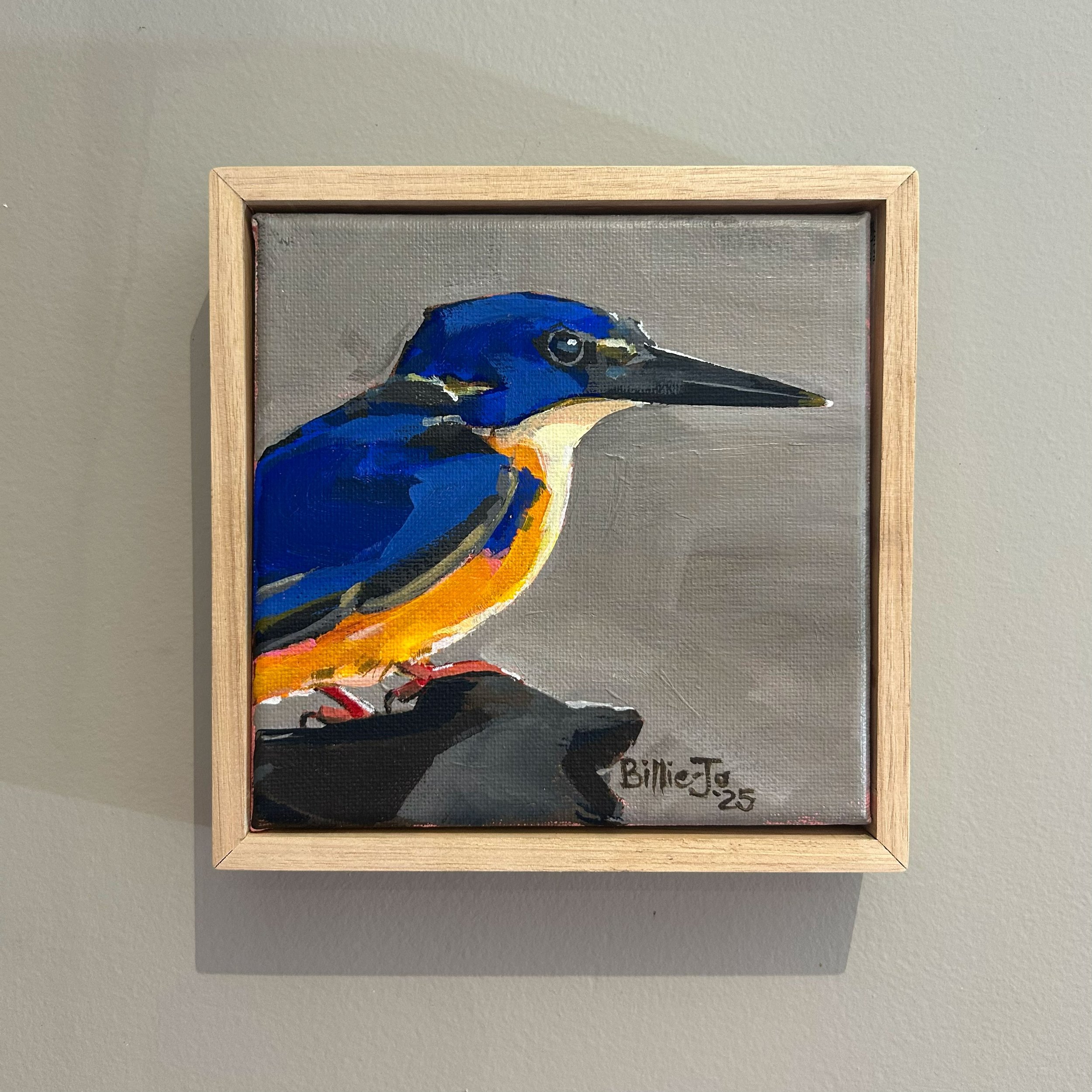 Azure kingfisher