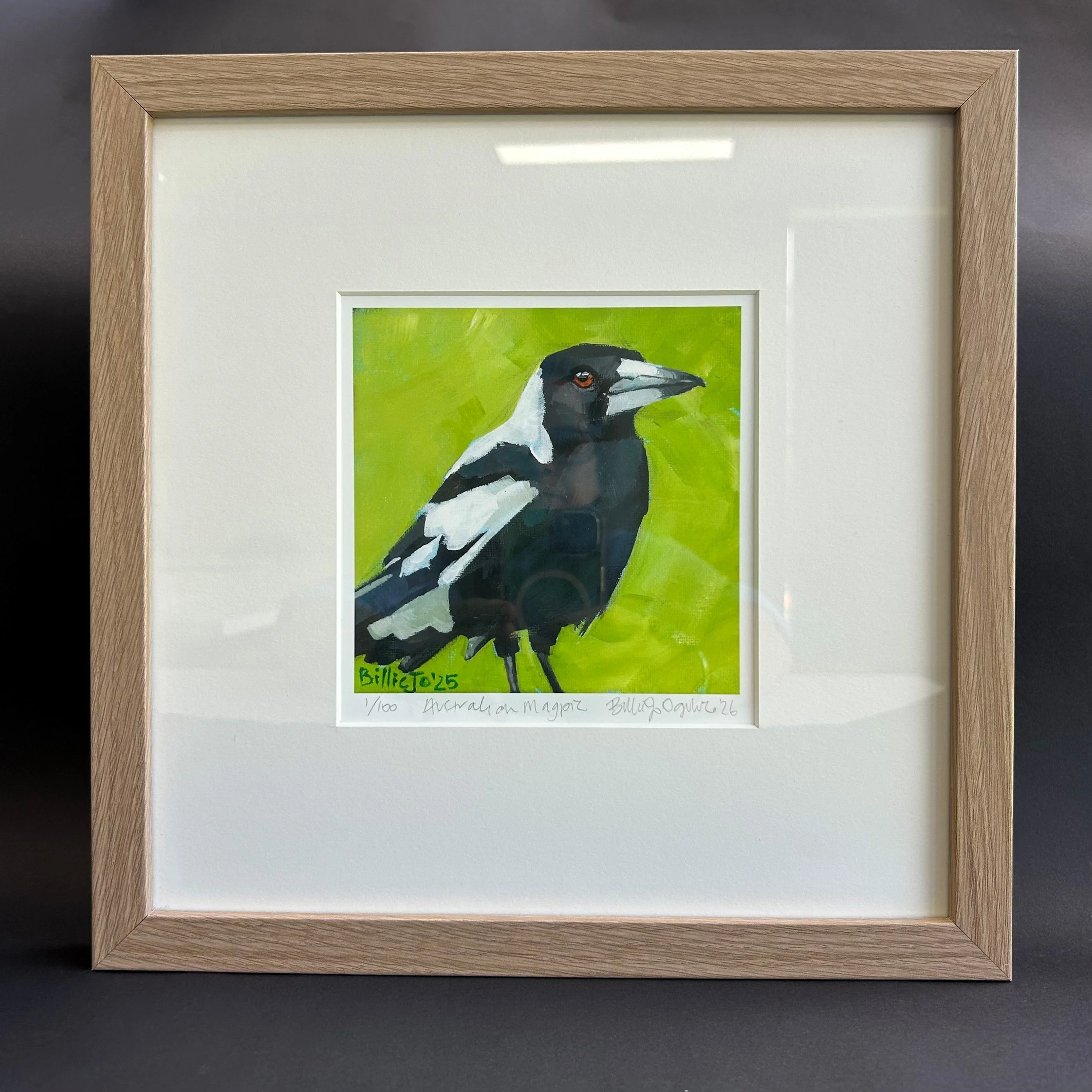 Australian magpie 5.jpg