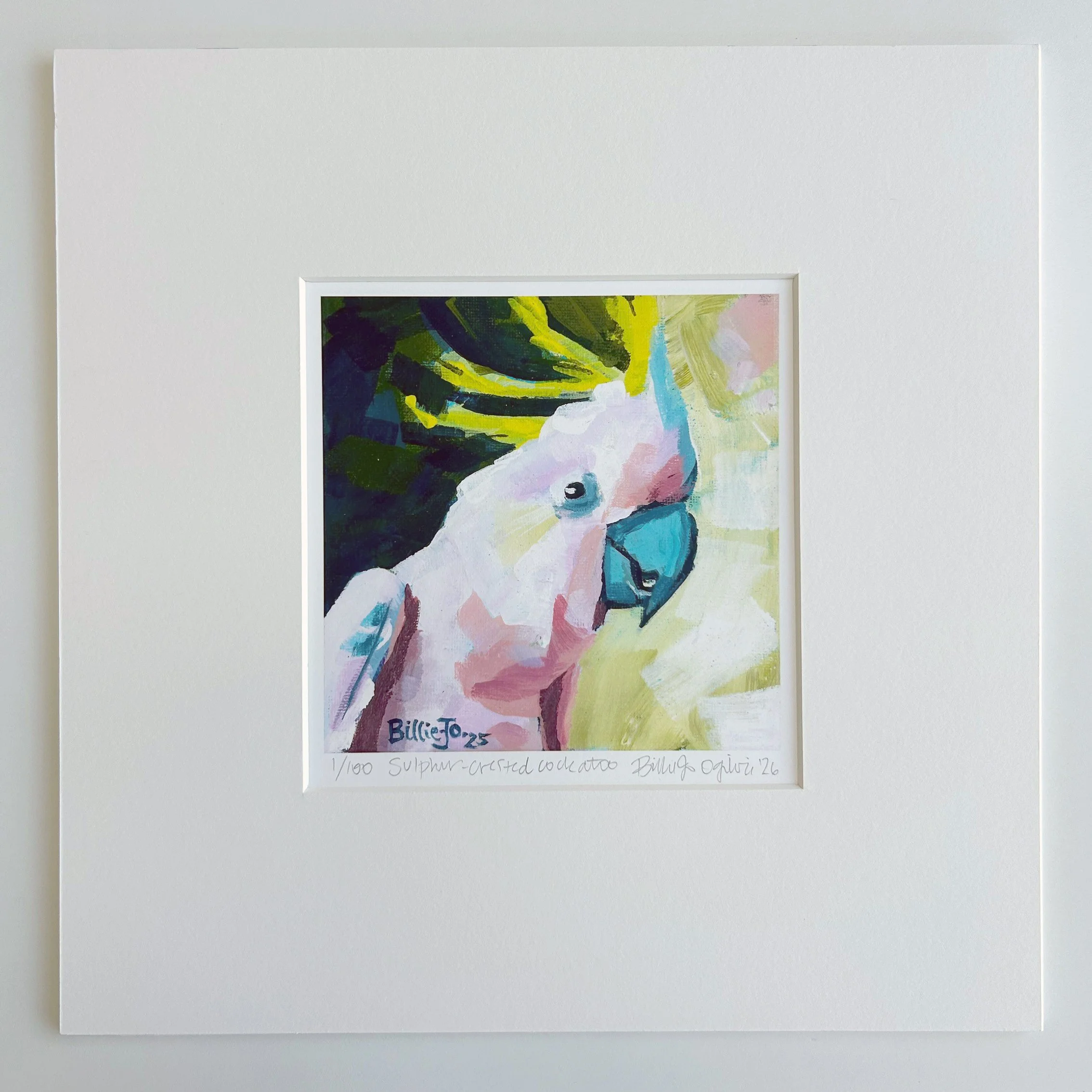 Sulphur-crested cockatoo: Limited edition print, ready to frame