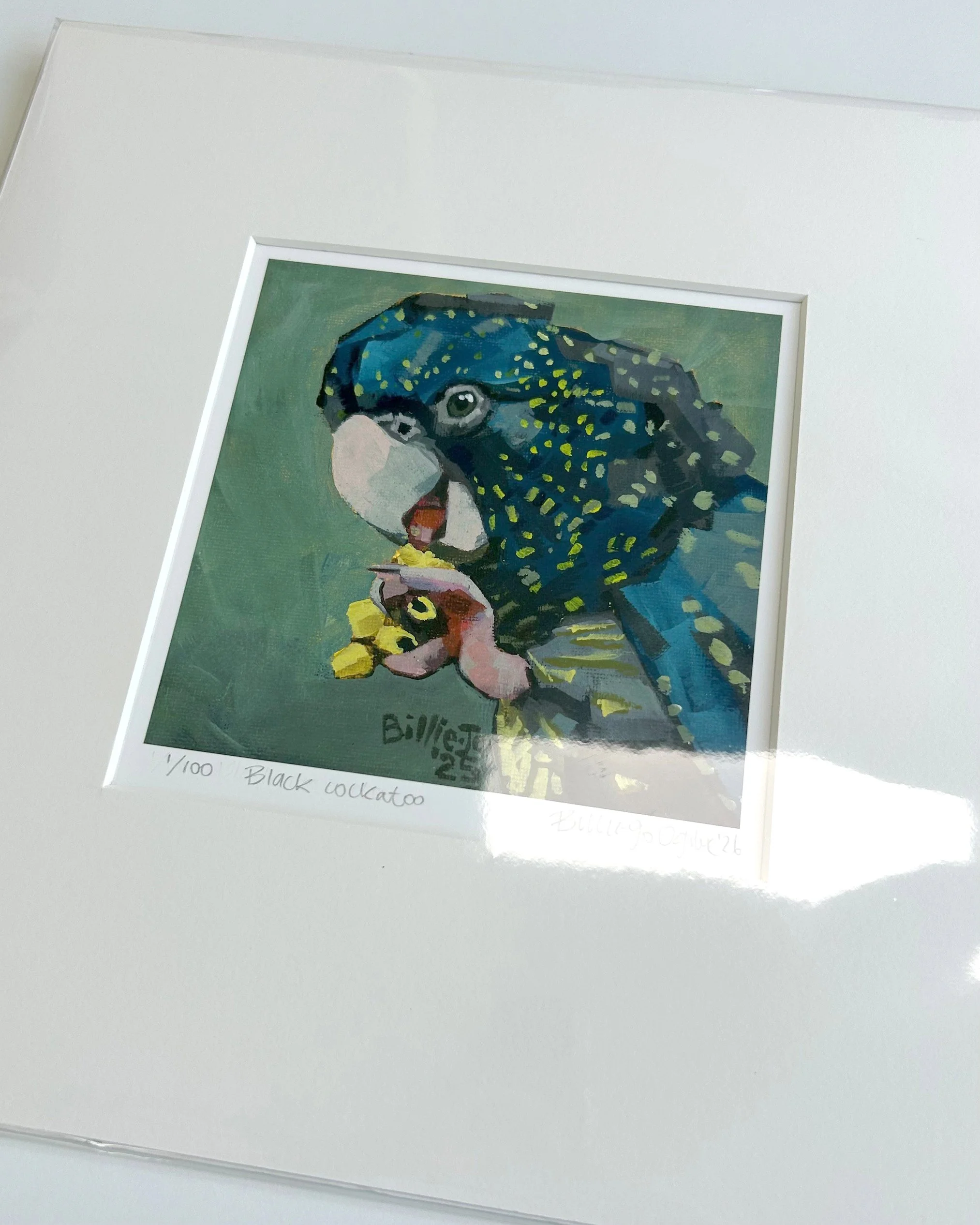 Black cockatoo 4.jpg