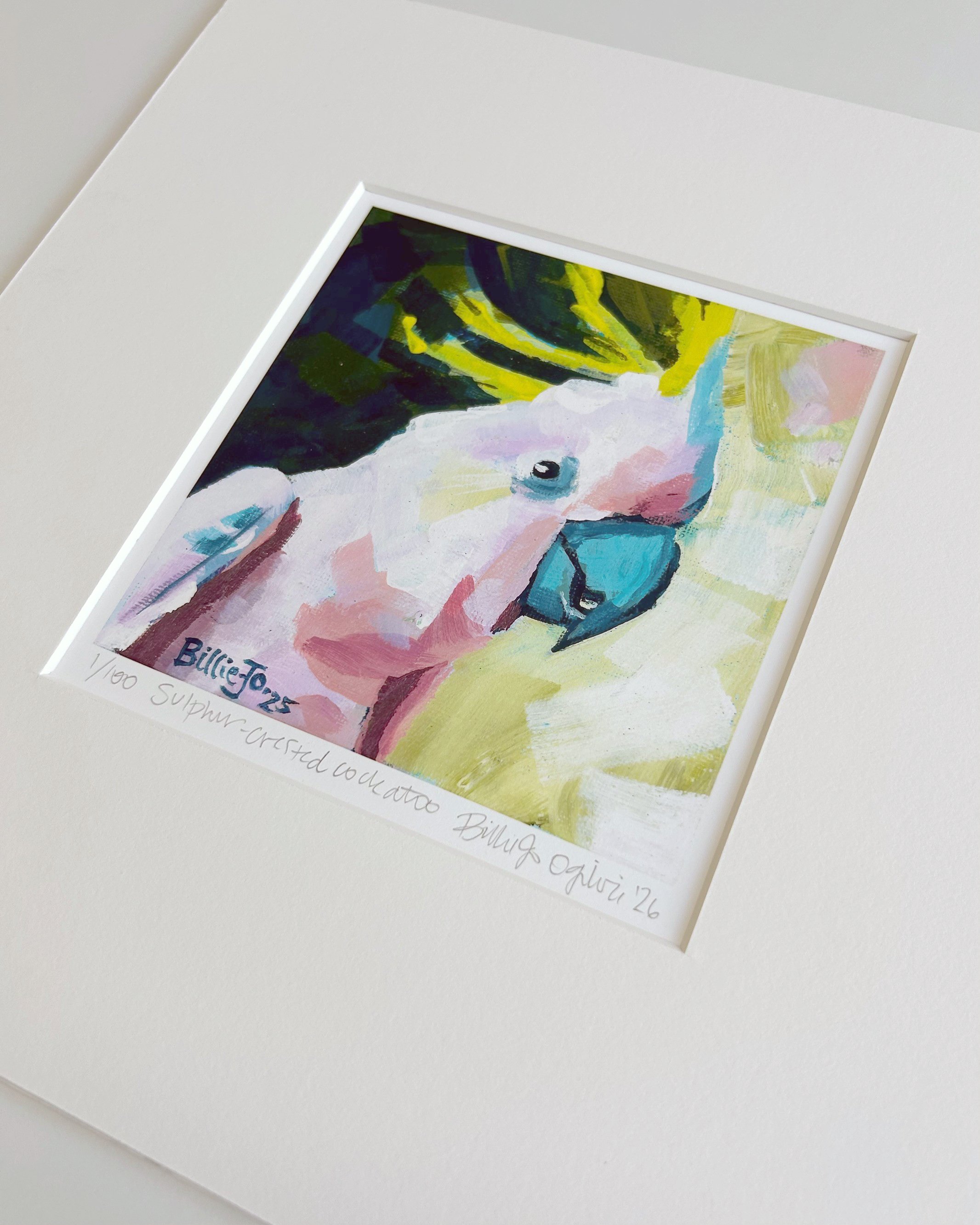 Sulpher-crested cockatoo 3.jpg