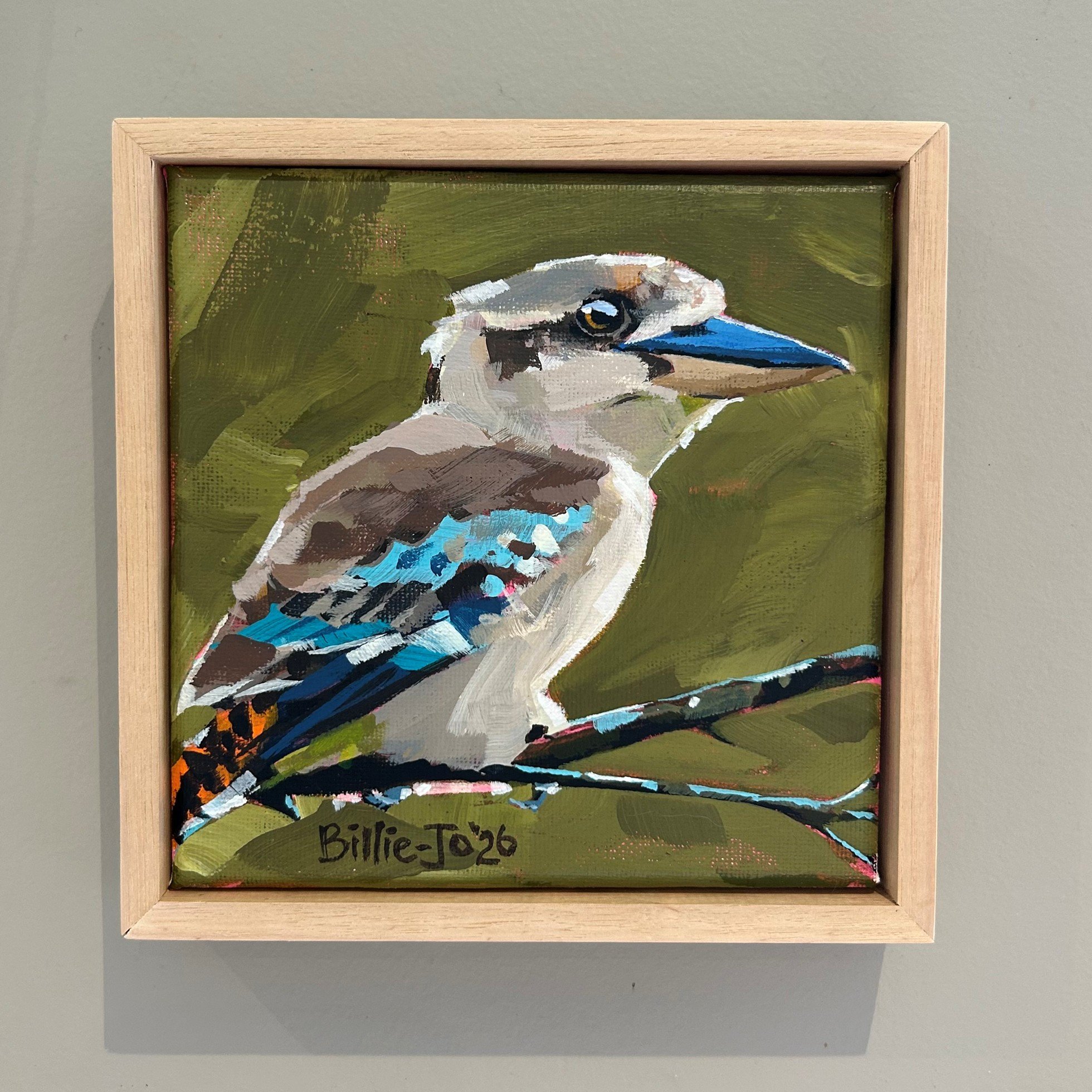 Kookaburra 1.jpg