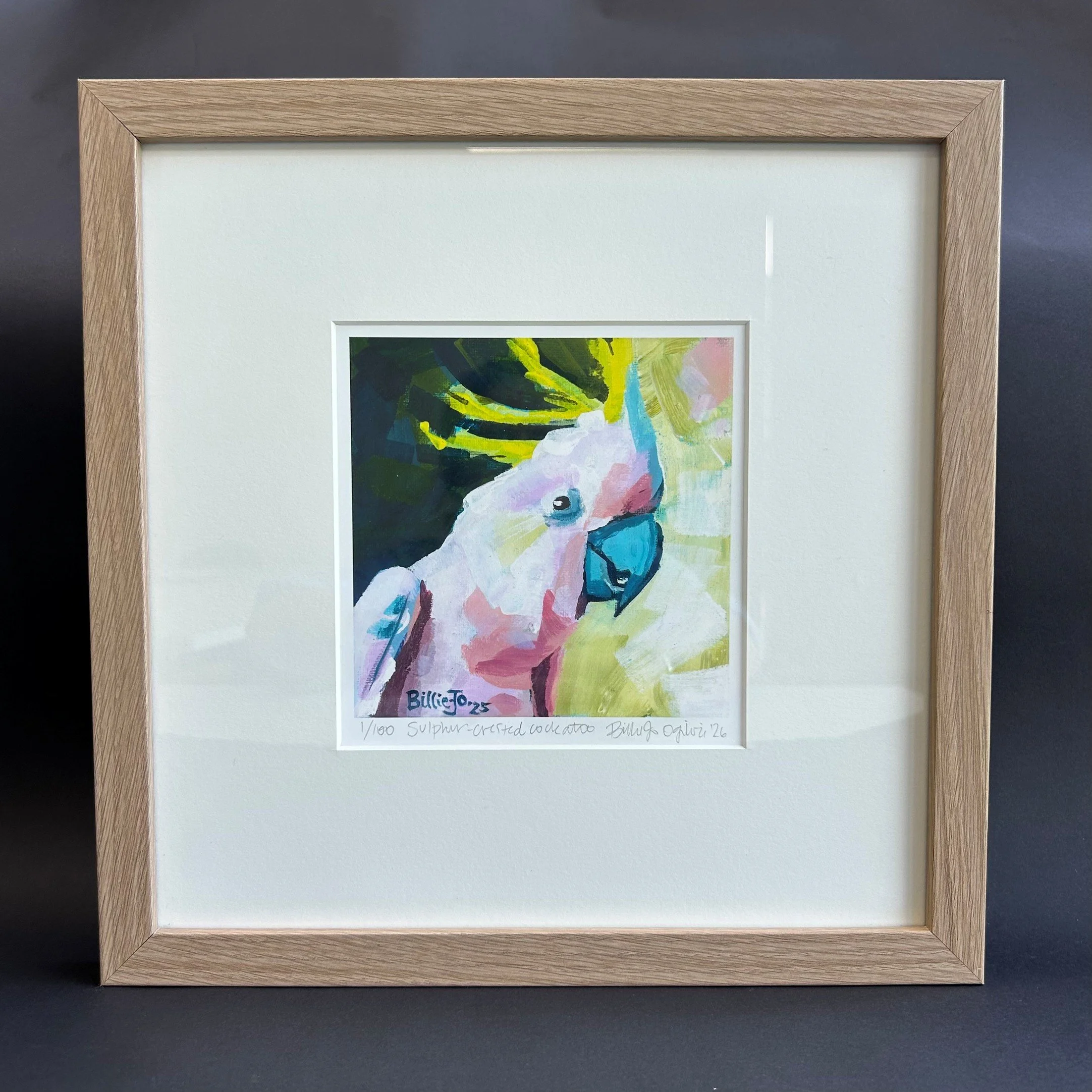 Sulpher-crested cockatoo 6.jpg