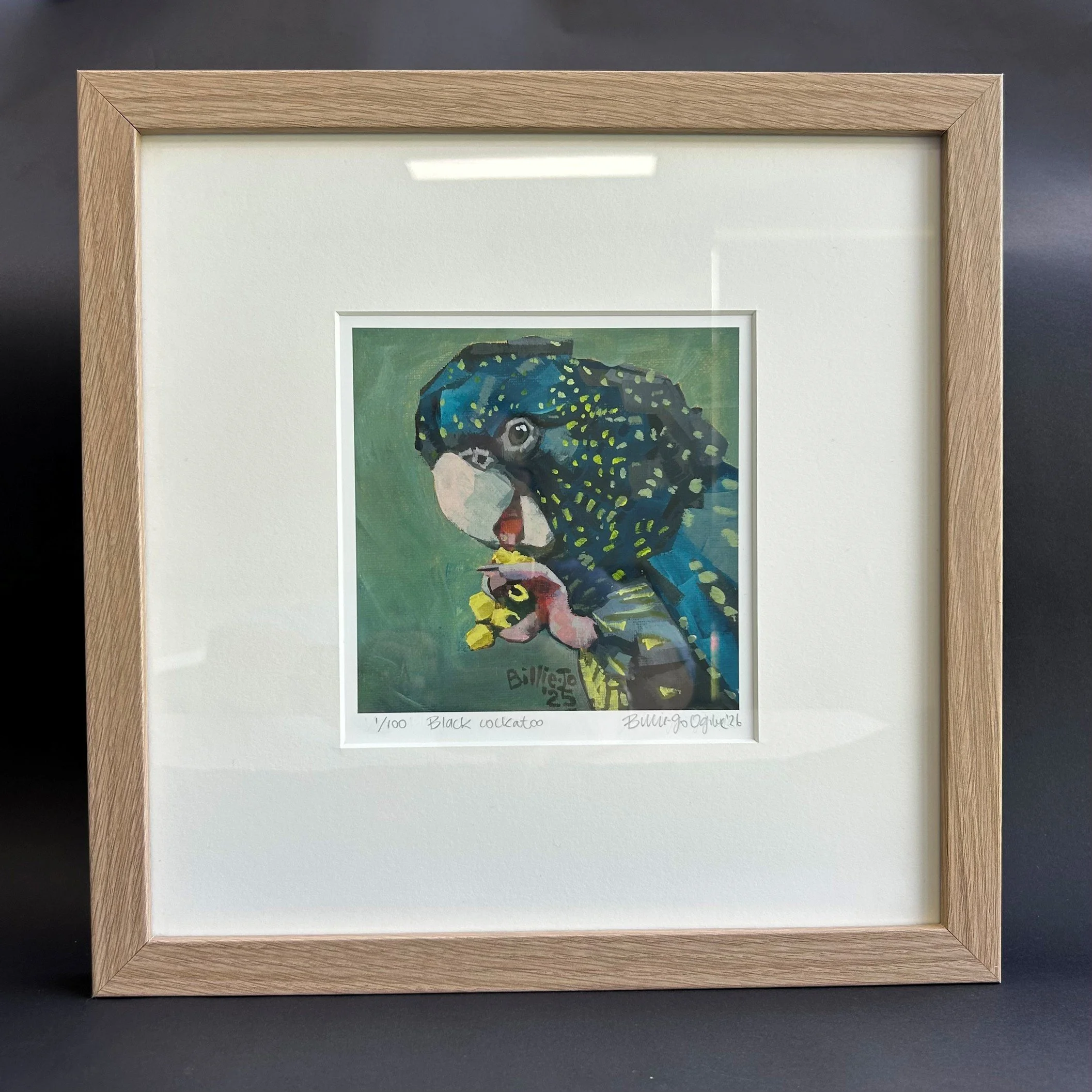 Black cockatoo 5.jpg