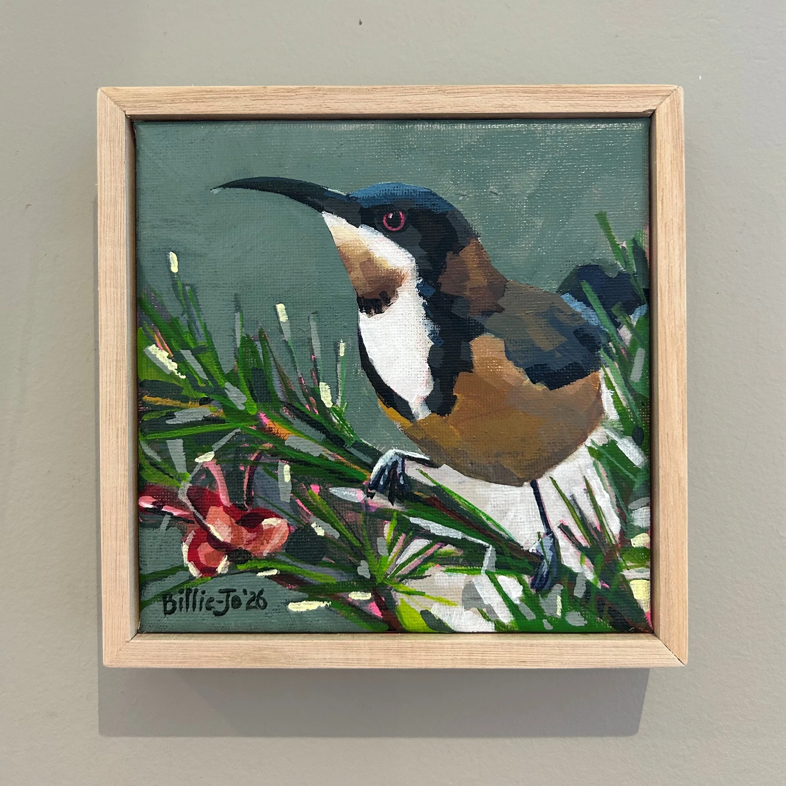 Eastern Spinebill