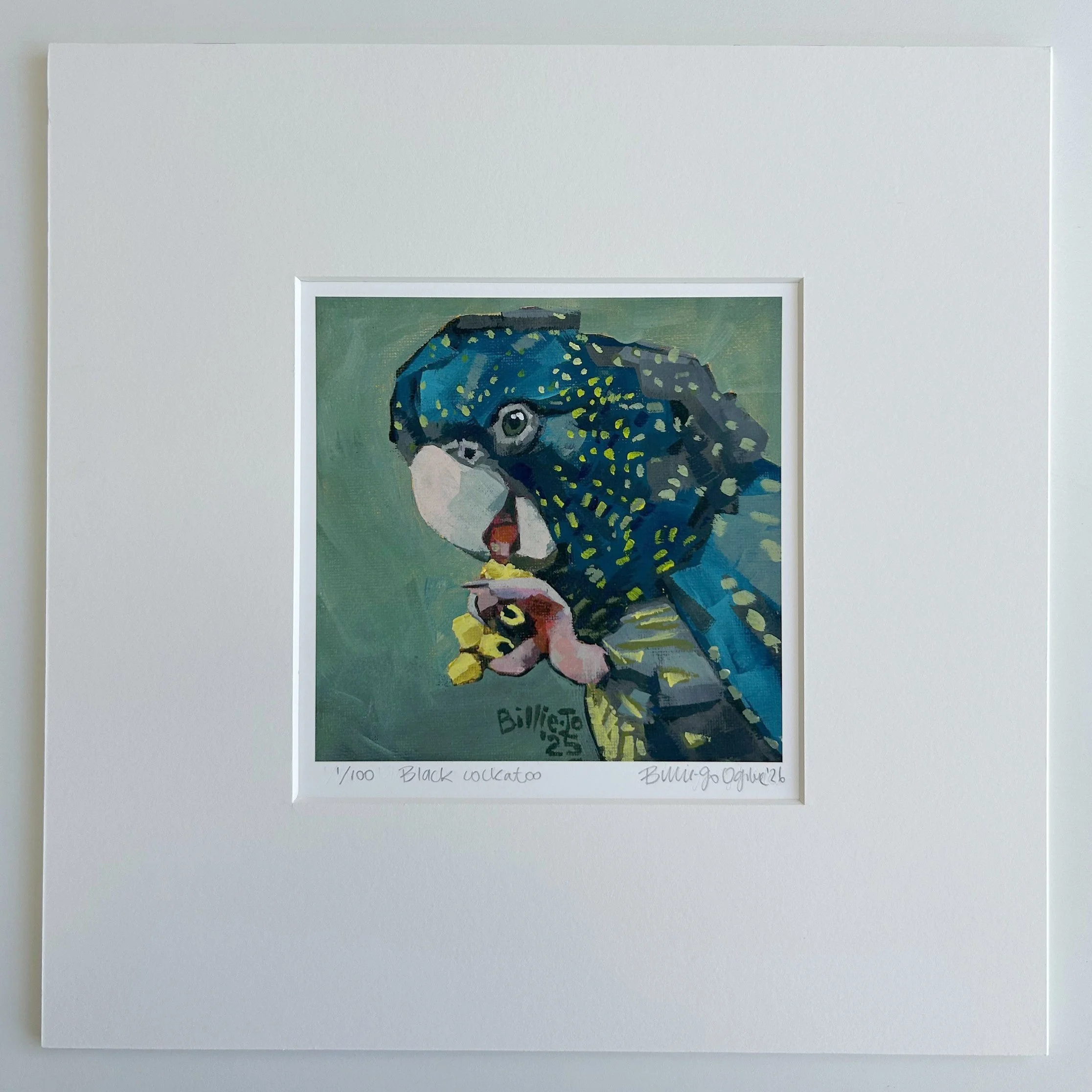 Black Cockatoo: Limited edition print, ready to frame