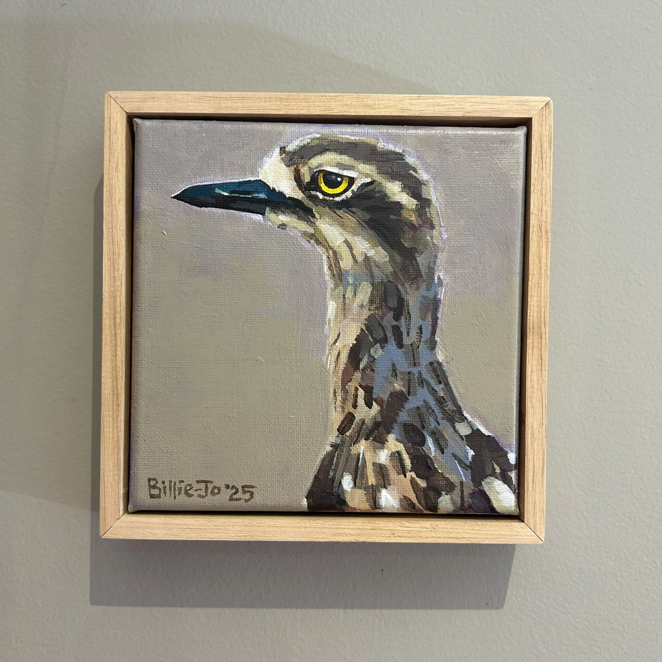 Stone-curlew