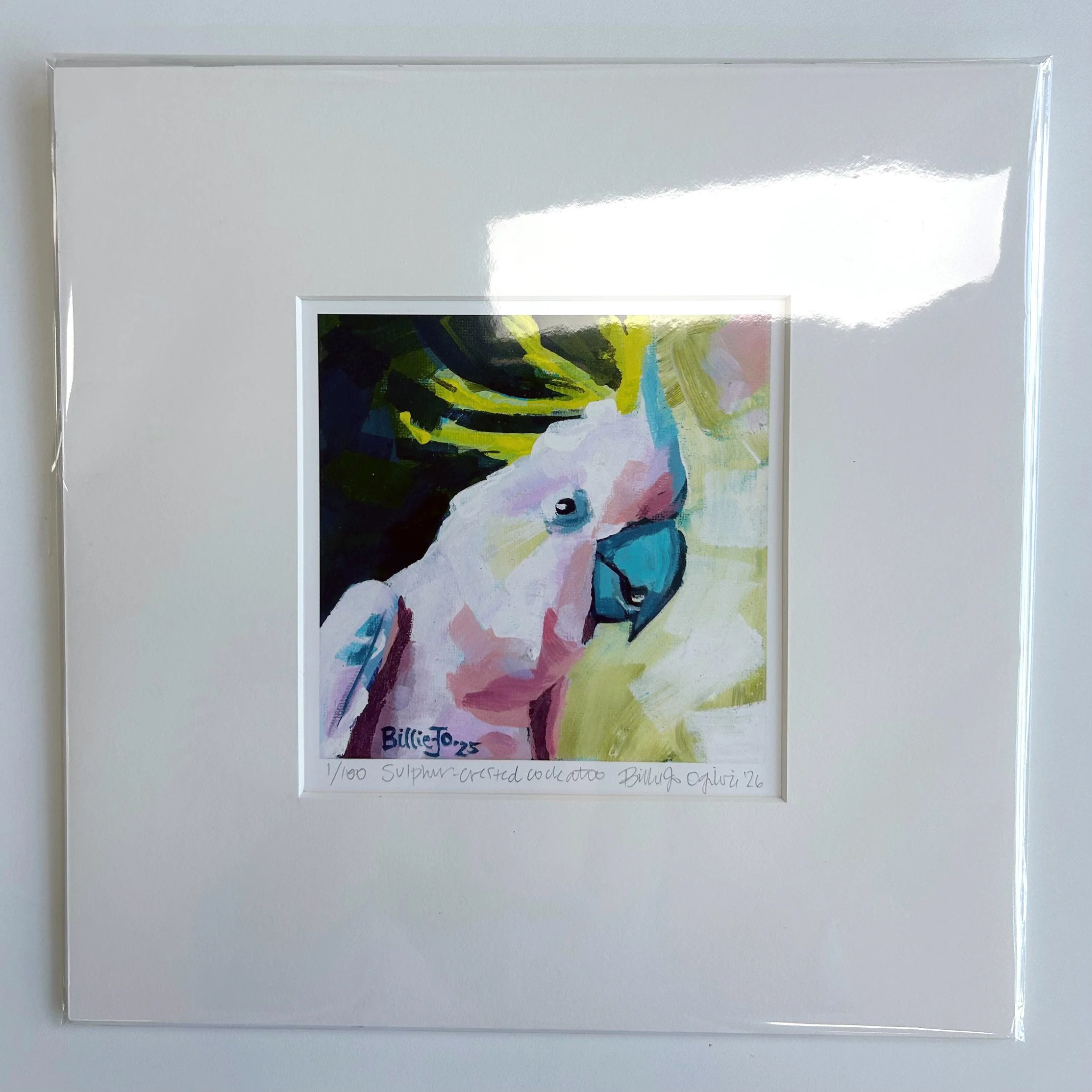 Sulpher-crested cockatoo 5.jpg