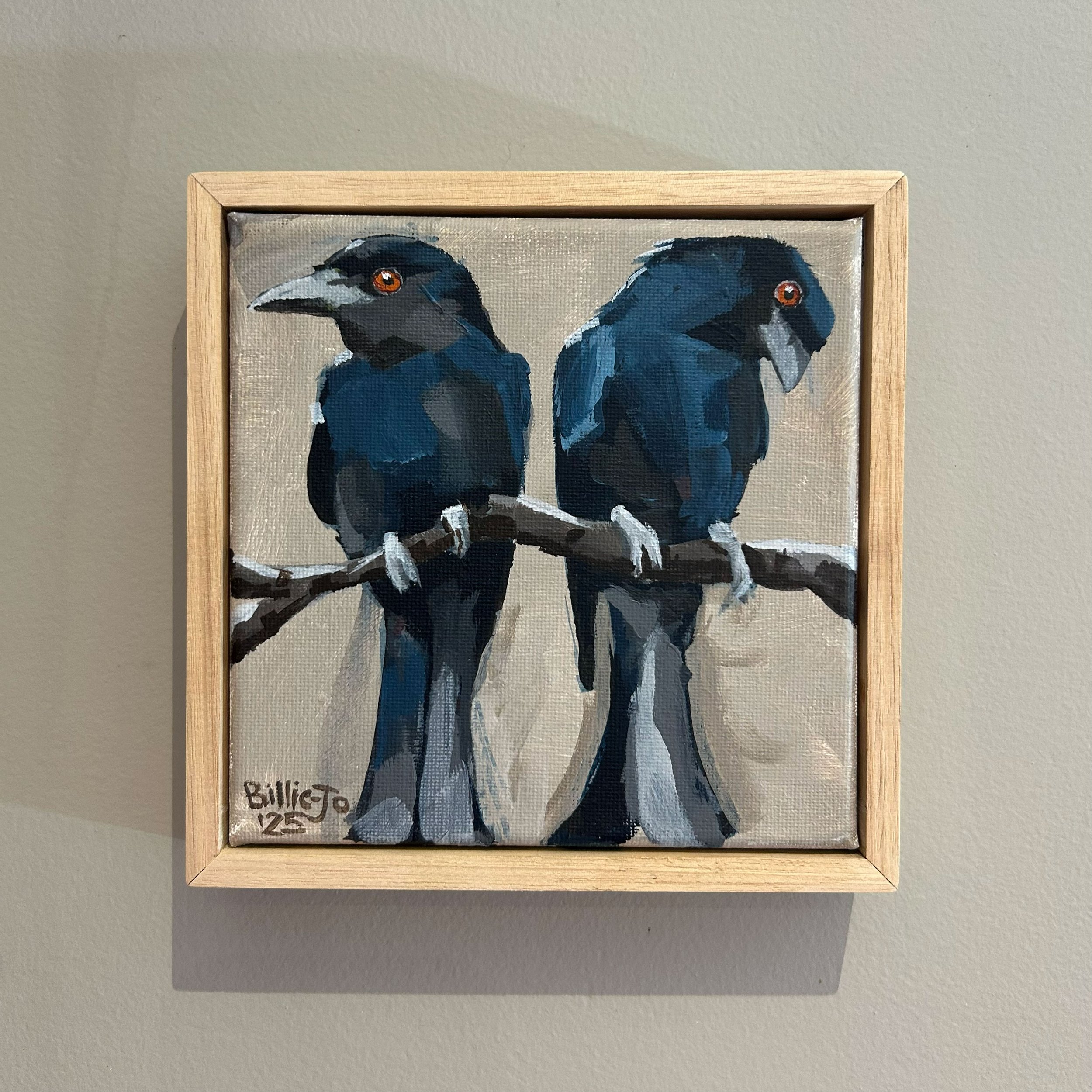 Two spangled drongos