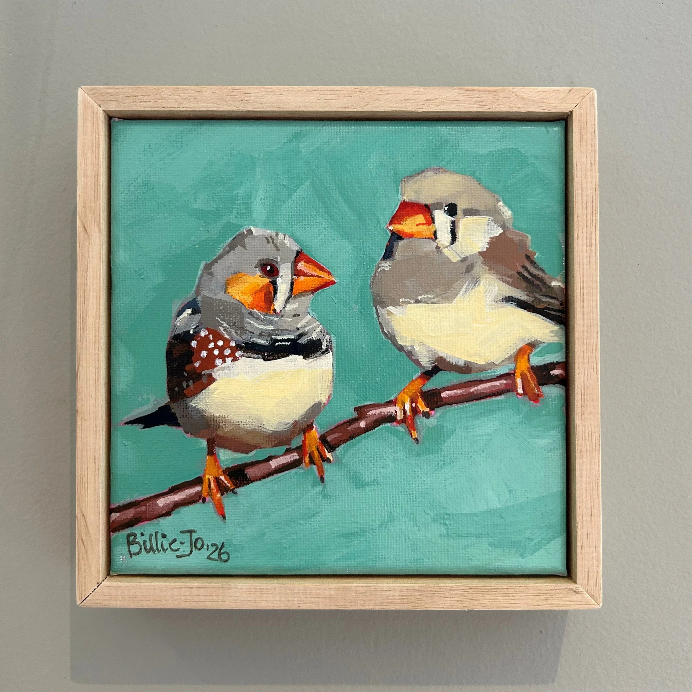 Australian zebra finch pair