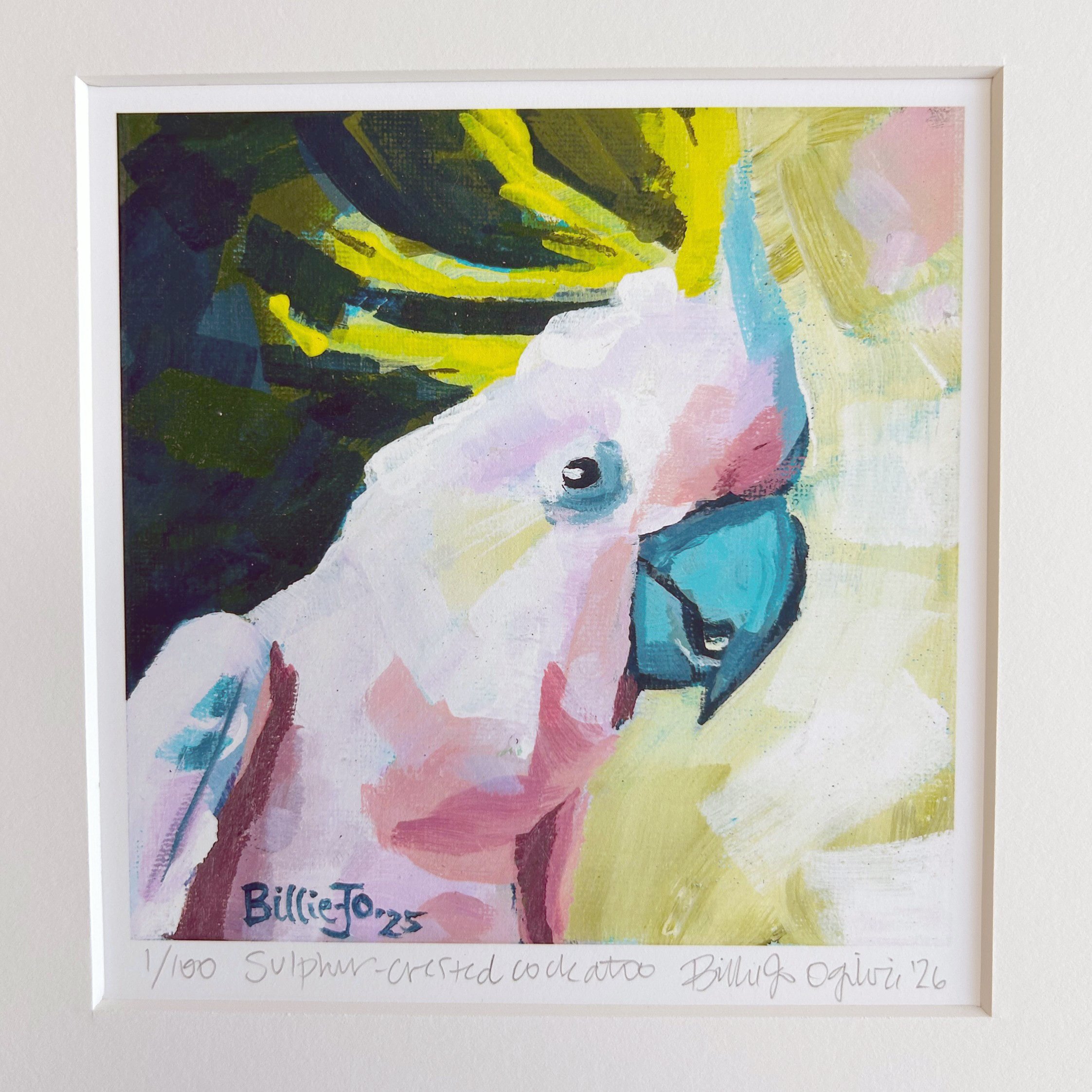 Sulpher-crested cockatoo 2.jpg