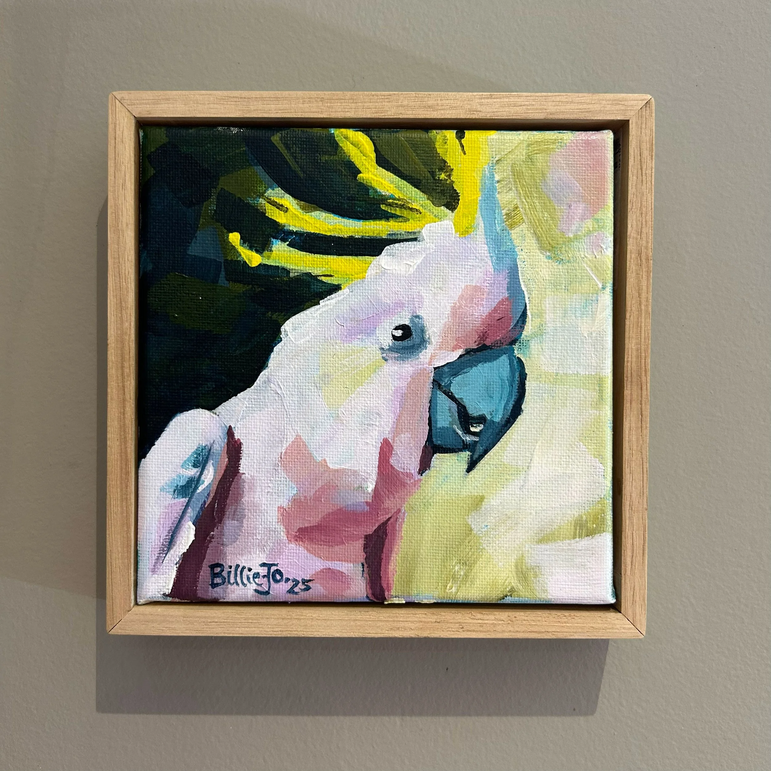 Sulphur-crested cockatoo