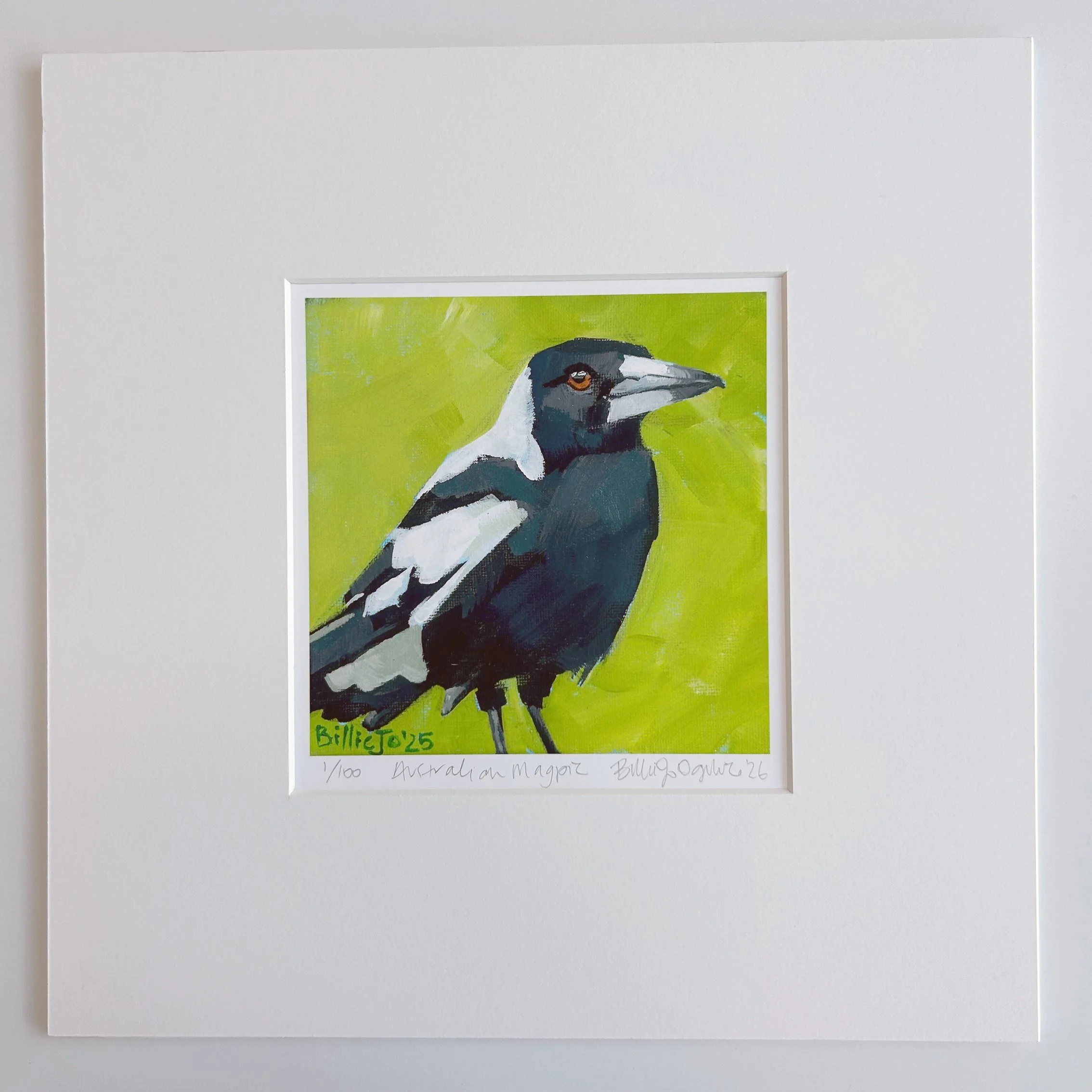 Australian magpie: Limited edition print, ready to frame