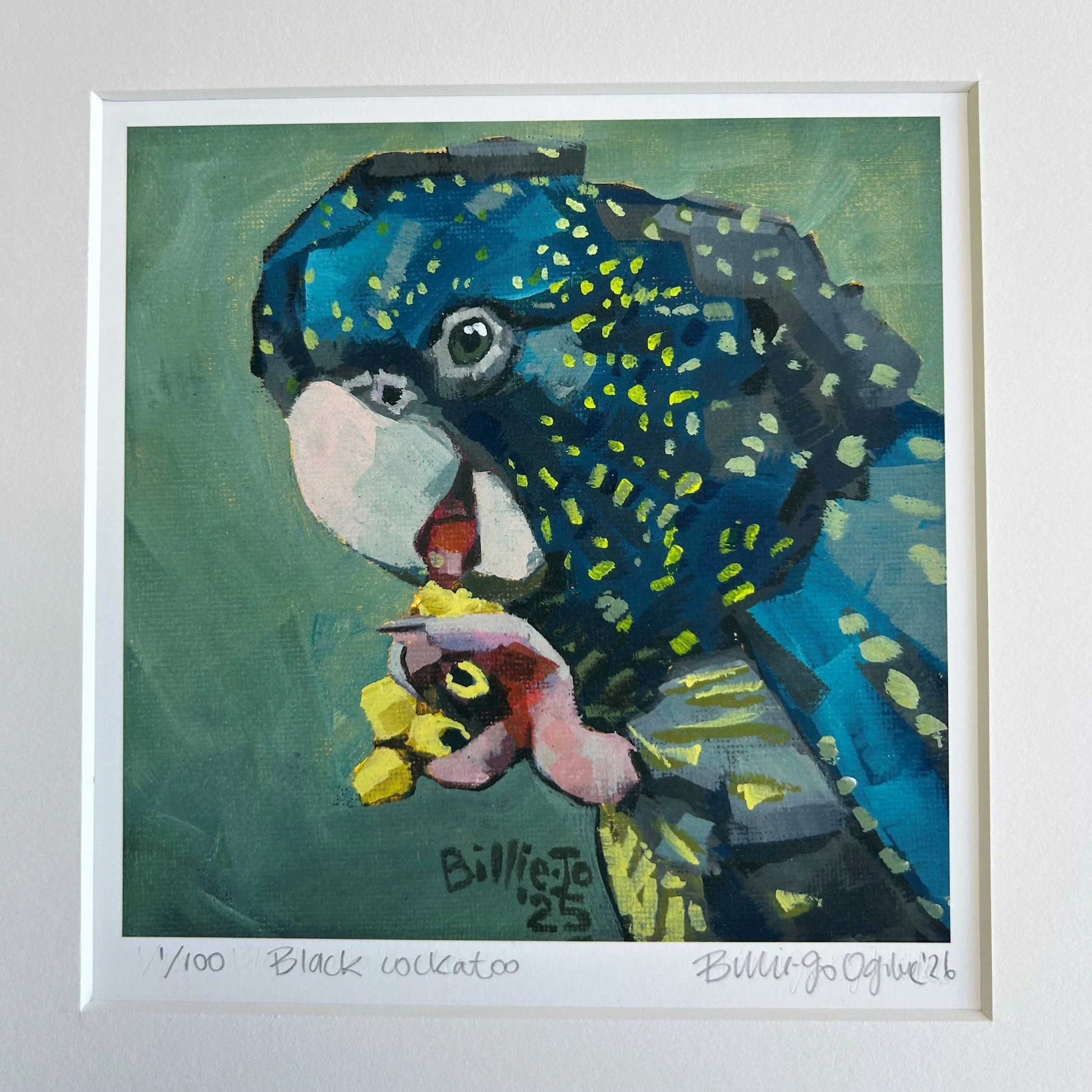 Black cockatoo 2.jpg