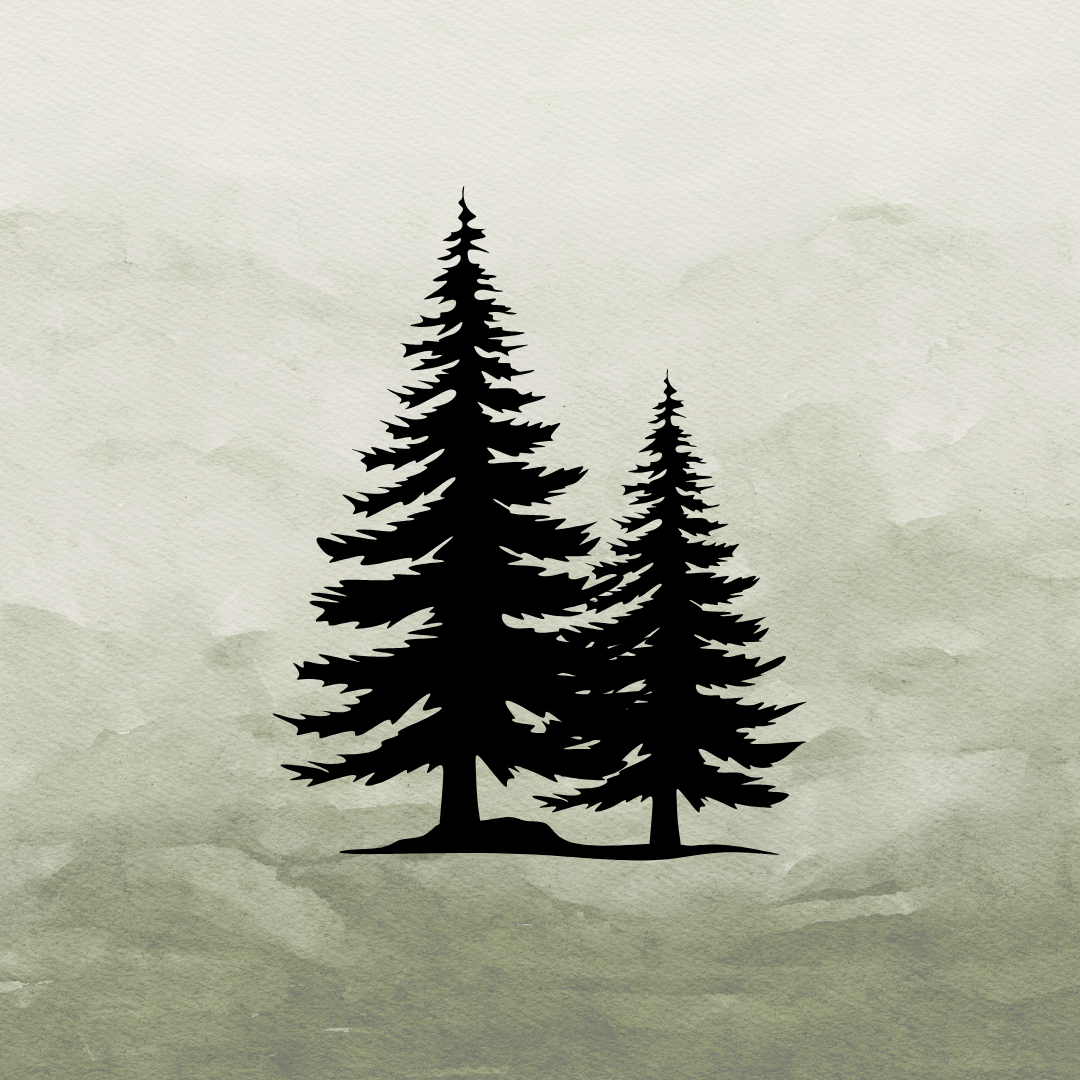 Silhouette of two evergreen trees on a textured, misty background.