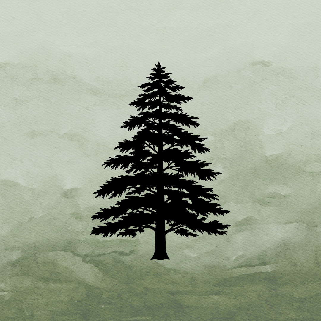 Silhouette of a pine tree against a green watercolor sky.