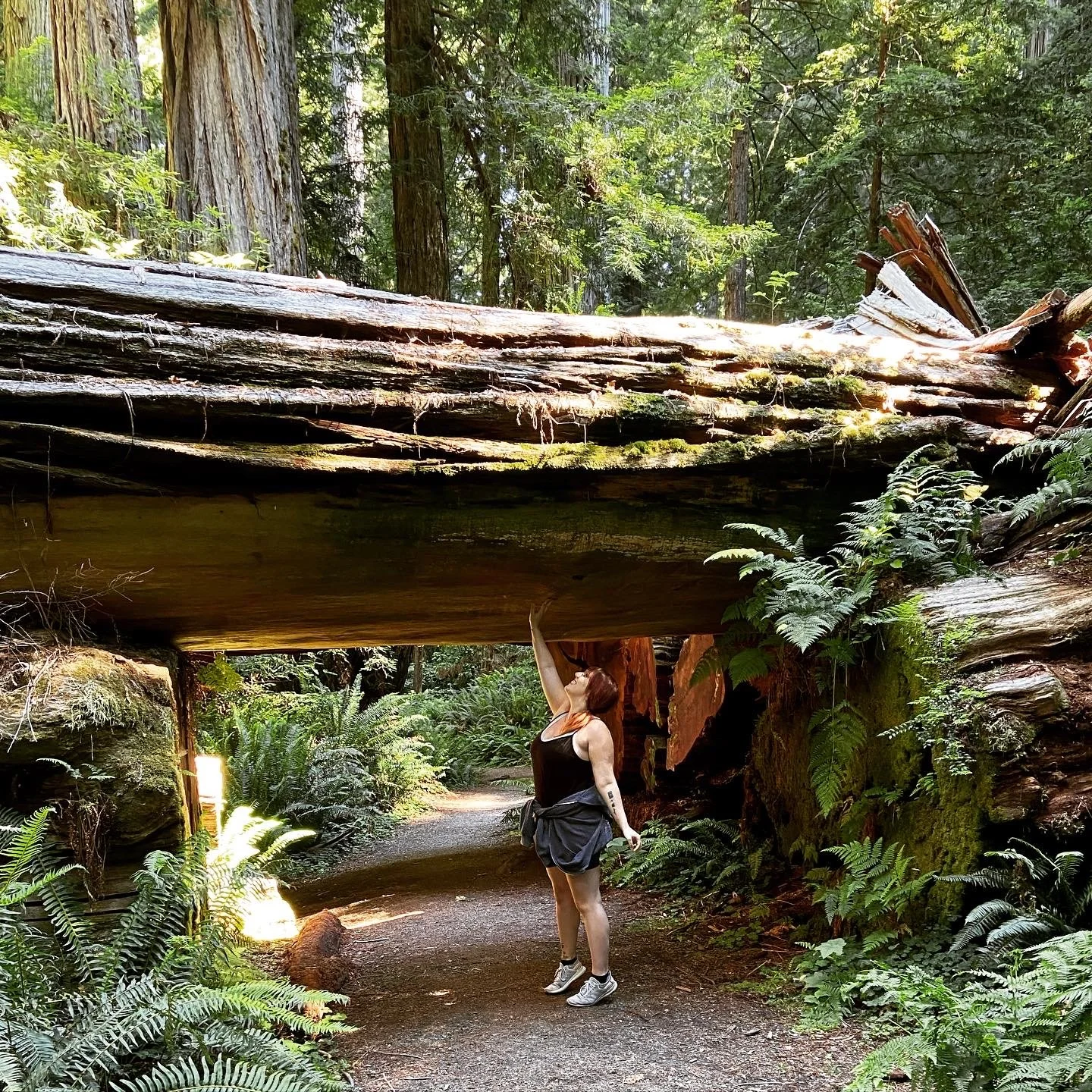Nature-informed therapy for adults in California