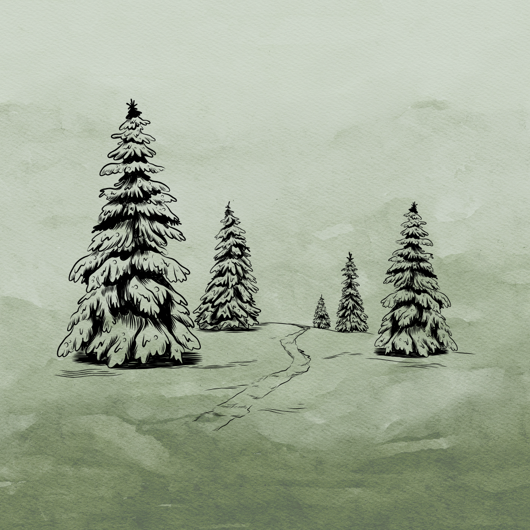 Black and white sketch of a snowy landscape with tall pine trees and a winding path.