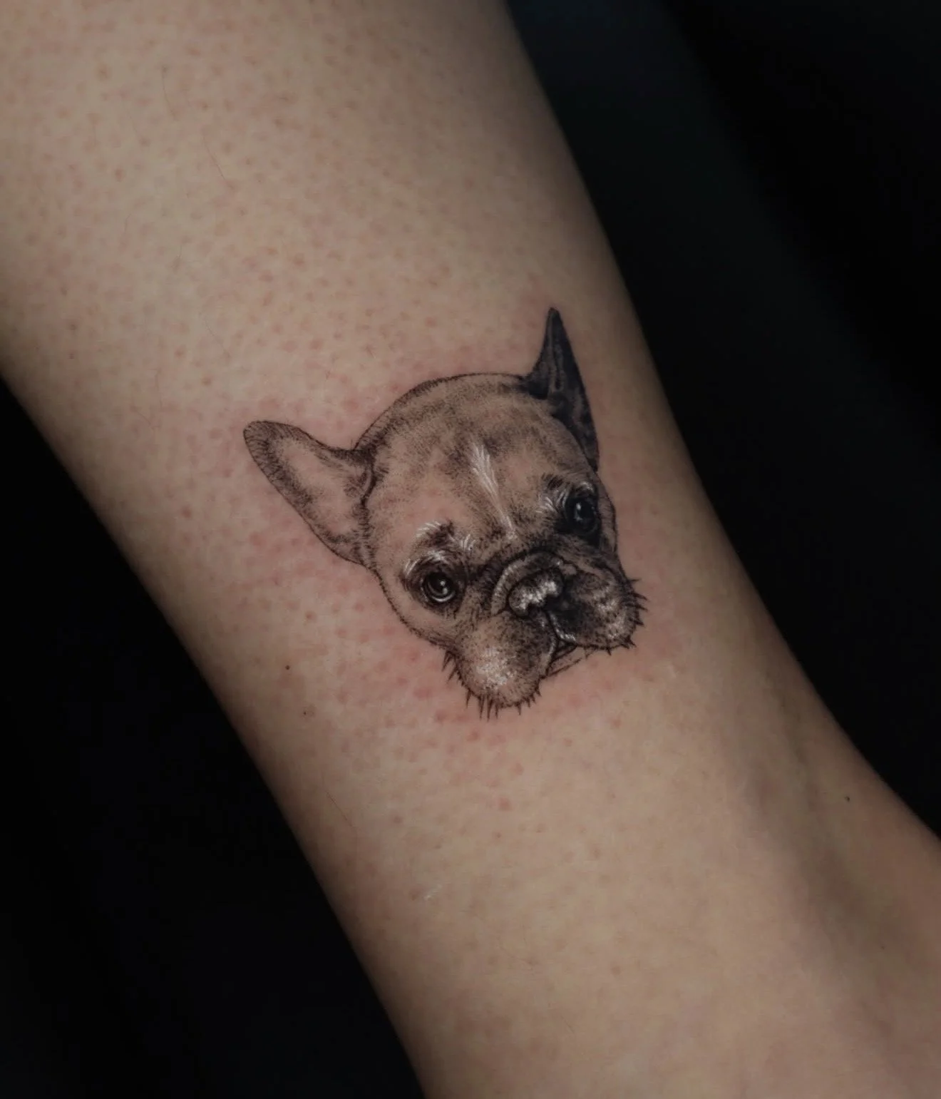 Tattoo of a French Bulldog puppy on a person's arm.