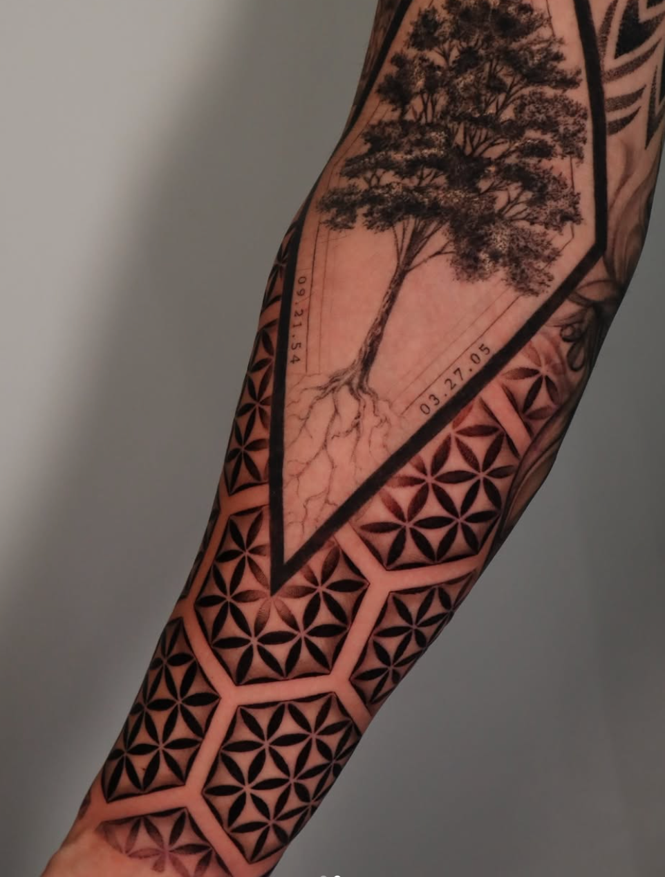 Tattoo of a tree with detailed roots inside a geometric border on an arm.