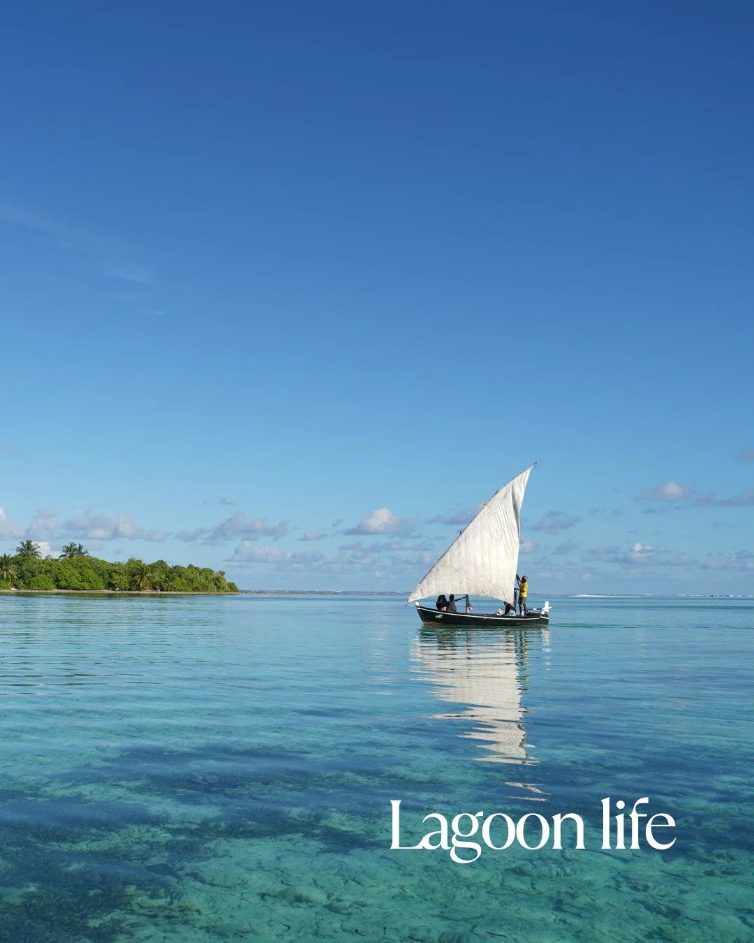 Life on the Lagoon

 Movement in the south is slow and deliberate.
 A sail rises. The wind decides the pace.

 Journeys are guided by tides, light, and knowledge passed down over generations.

 In Huvadhu Atoll, the journey is never separate from the