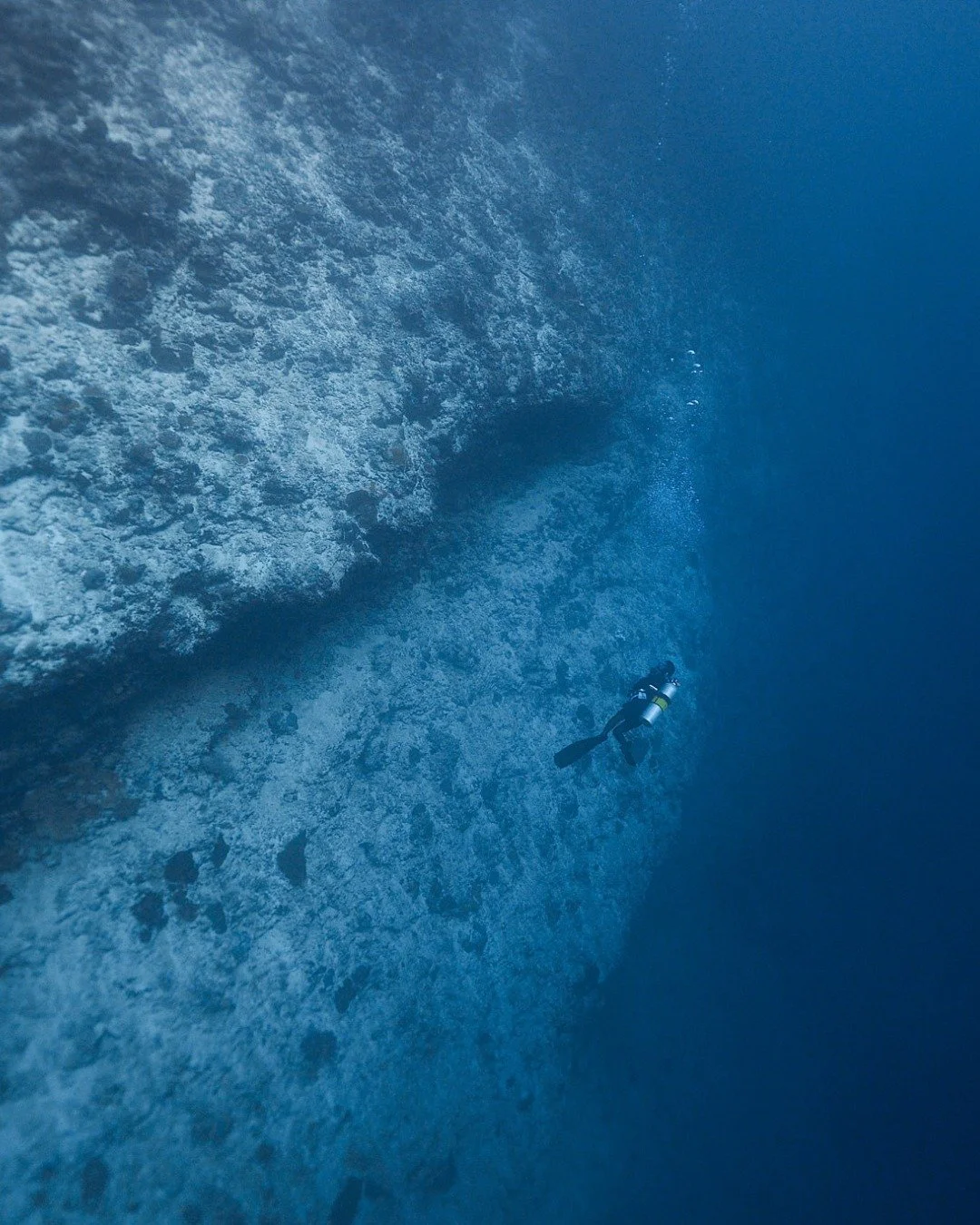 Villingili Kandu is the heartbeat of Huvadhu Atoll.

A kandu is a natural channel connecting the inner lagoon to the open ocean. In one of the largest and deepest atolls in the world, the volume of water moving through this channel is immense. That c
