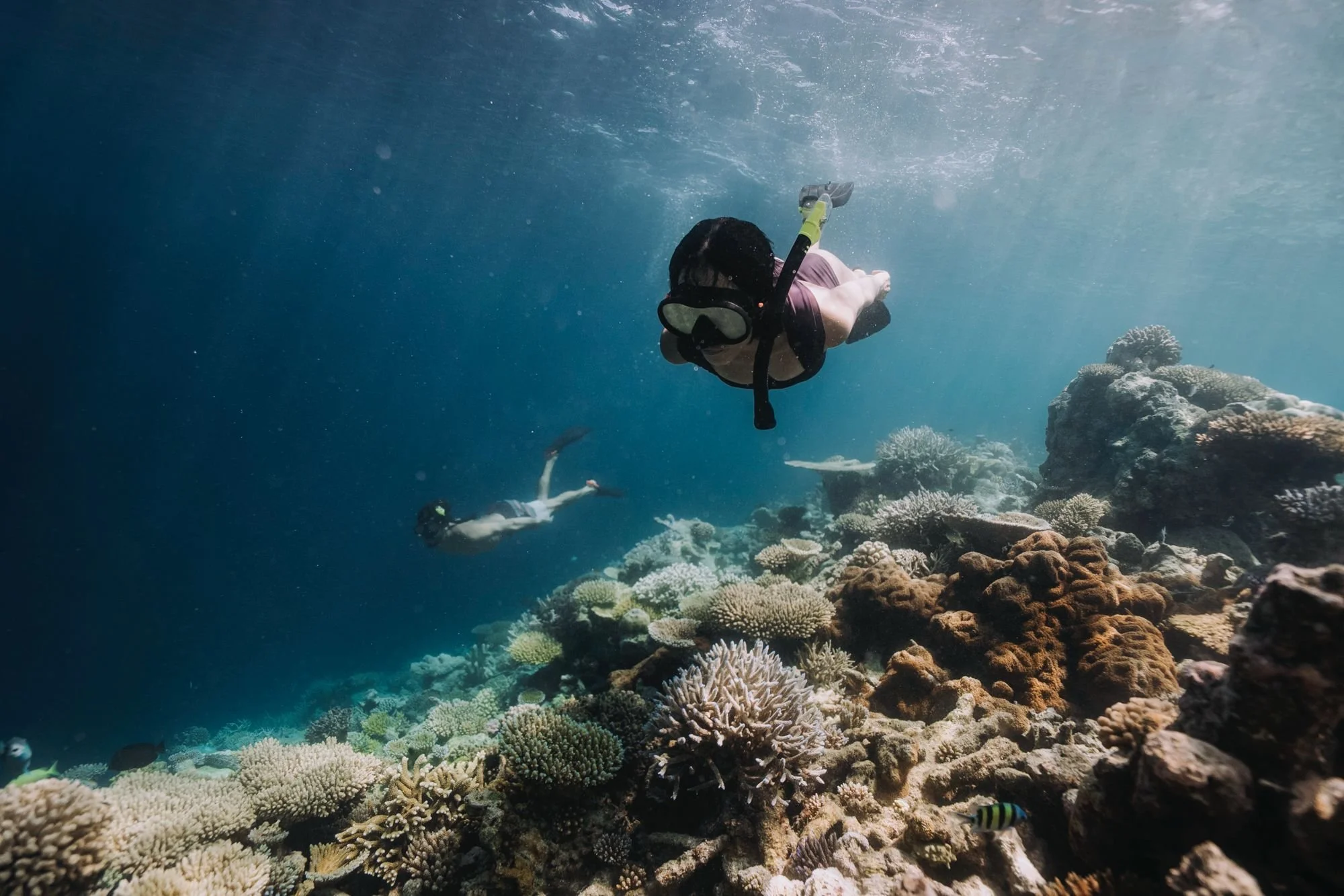 Two people snorkeling underwater over a coral reef with colorful rocks and marine life.