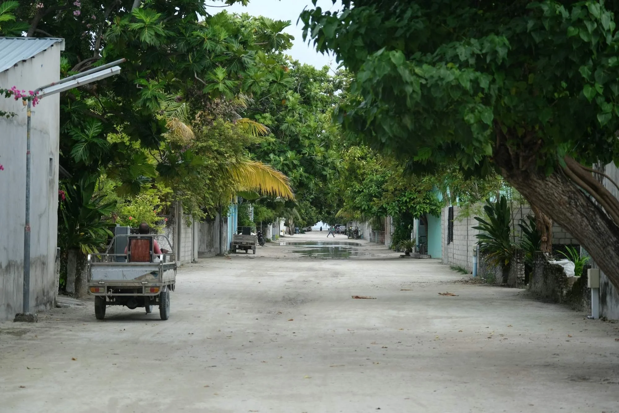 Everyday street life on a local island in Huvadhu Atoll