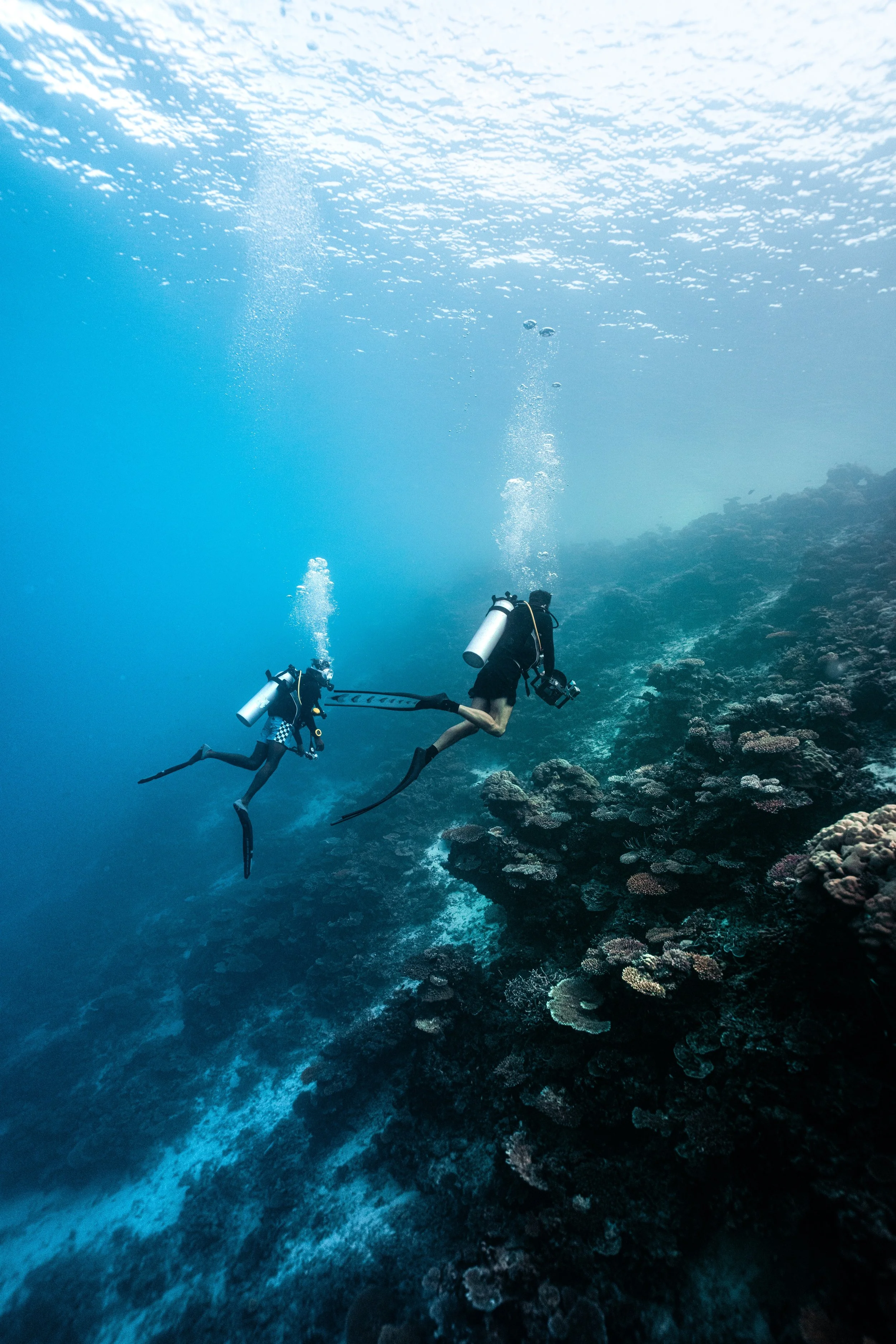 Two scuba divers exploring a coral reef underwater.